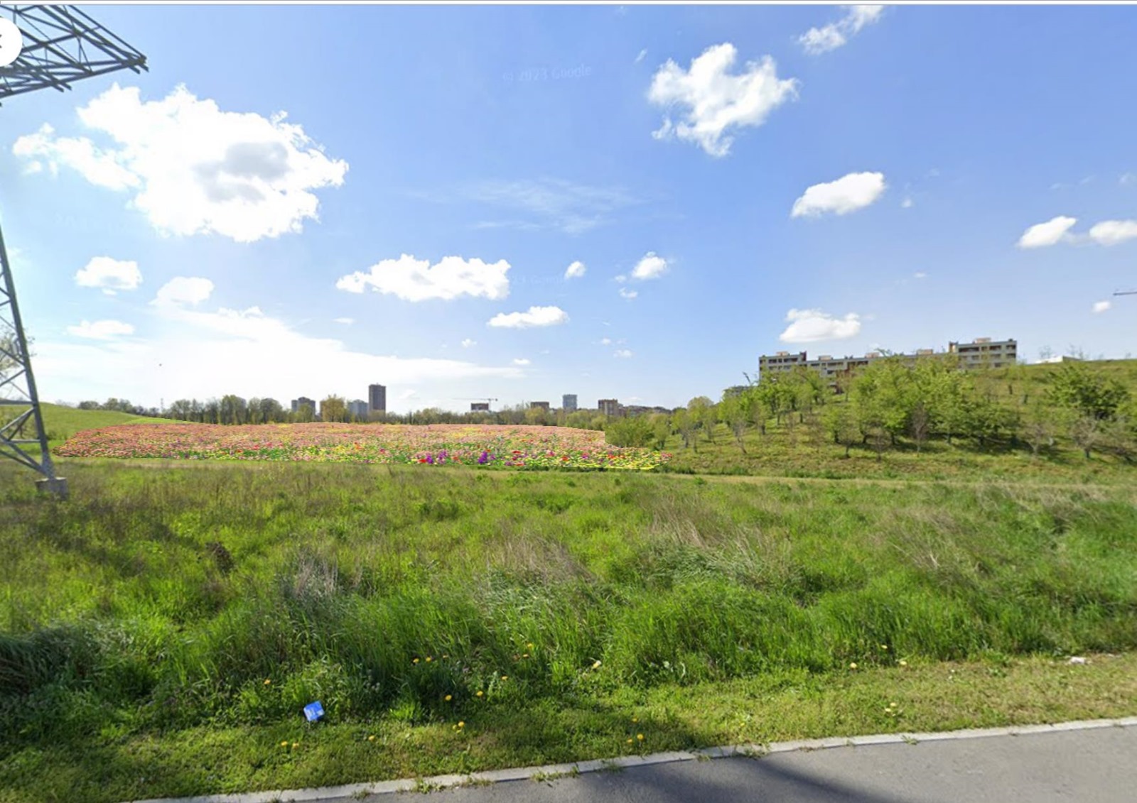 immagine di galleria 'Prato fiorito alla Bergamella'