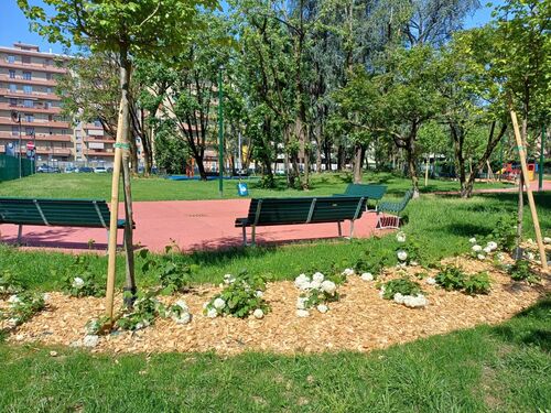 immagine di galleria 'Riqualificazione del giardino Bazzega-Corridoni Padovani'