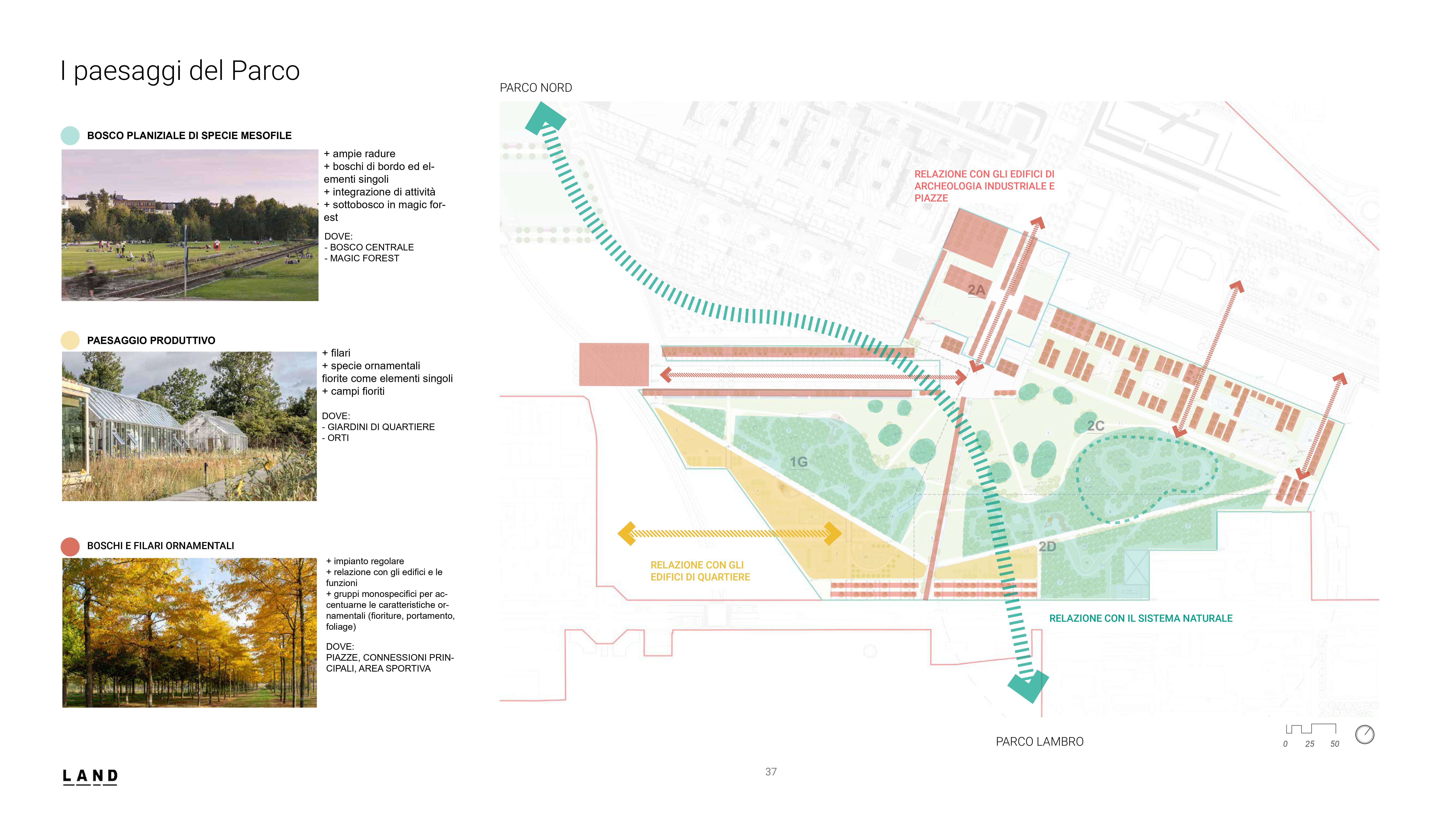 immagine di galleria