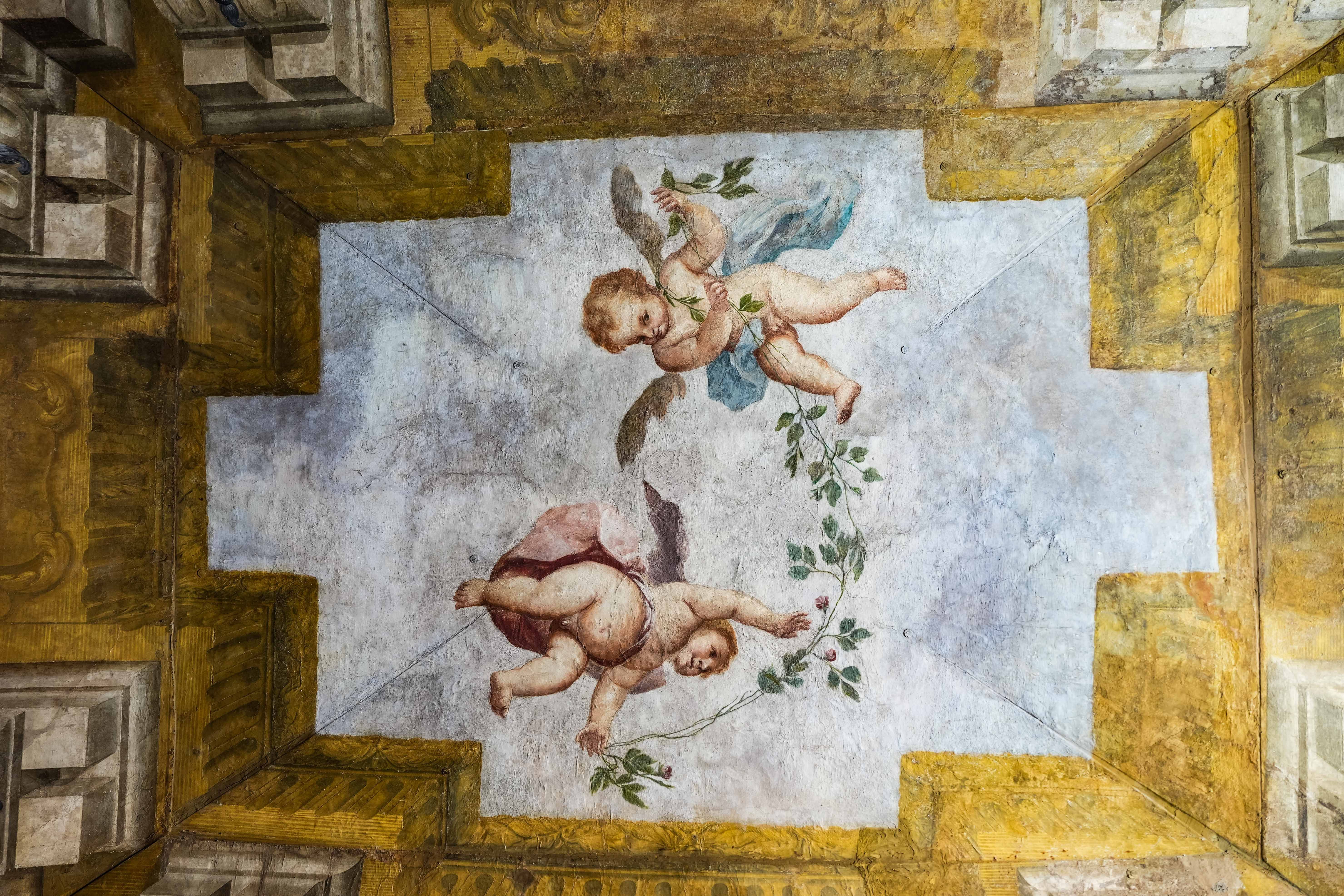 immagine di galleria