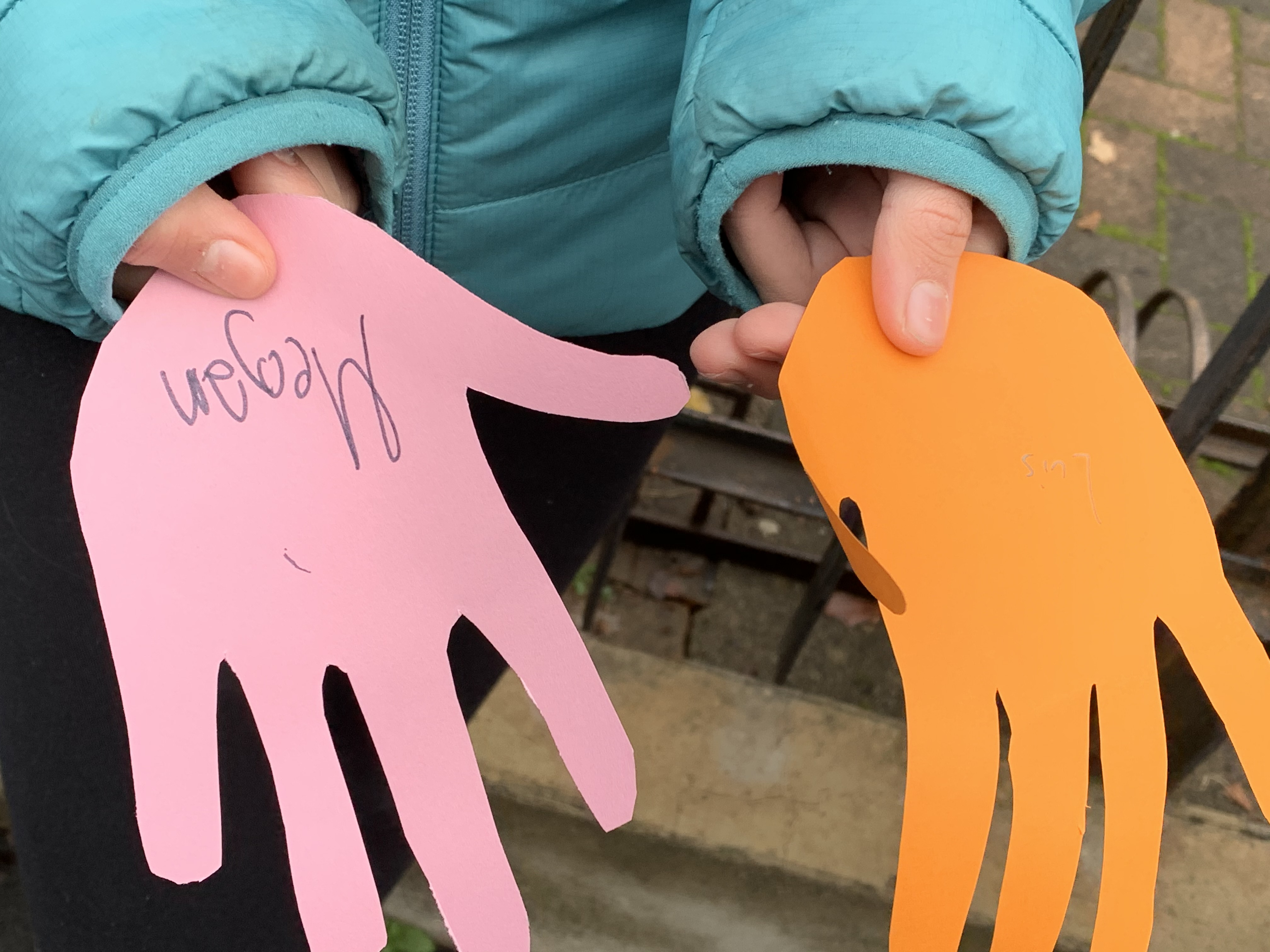 immagine di galleria