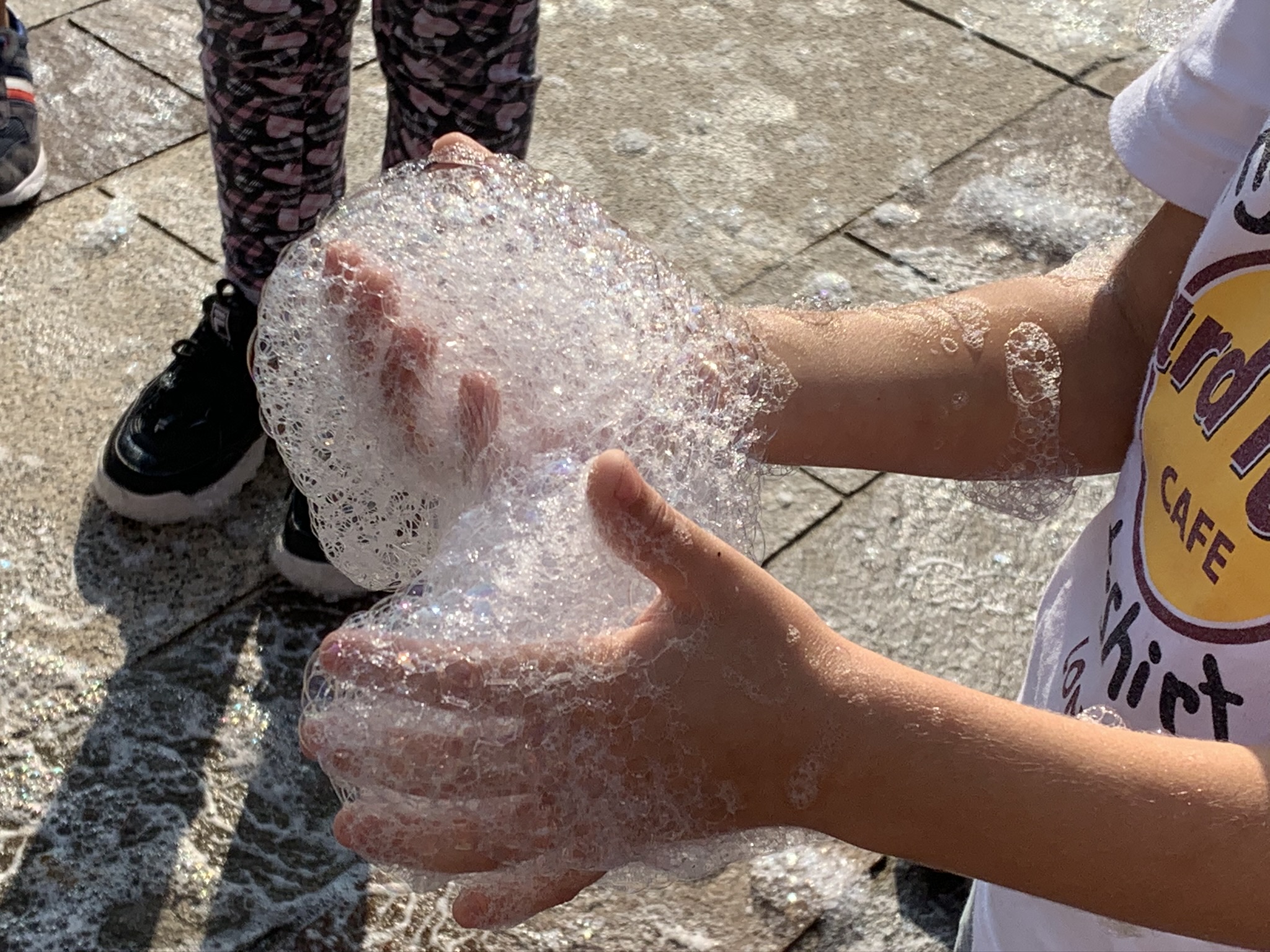 immagine di galleria