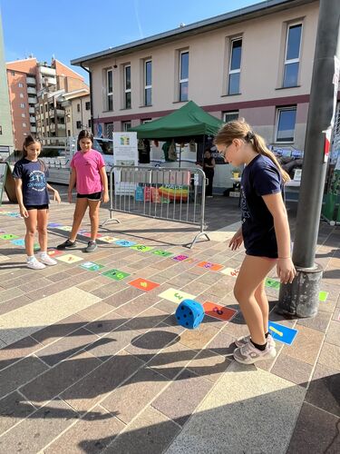 immagine di galleria 'Festa dello Sport, del Volontariato e della Salute 2026'