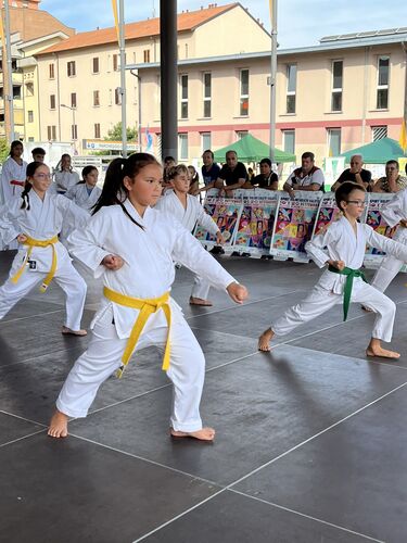 immagine di galleria 'Festa dello Sport, del Volontariato e della Salute 2026'