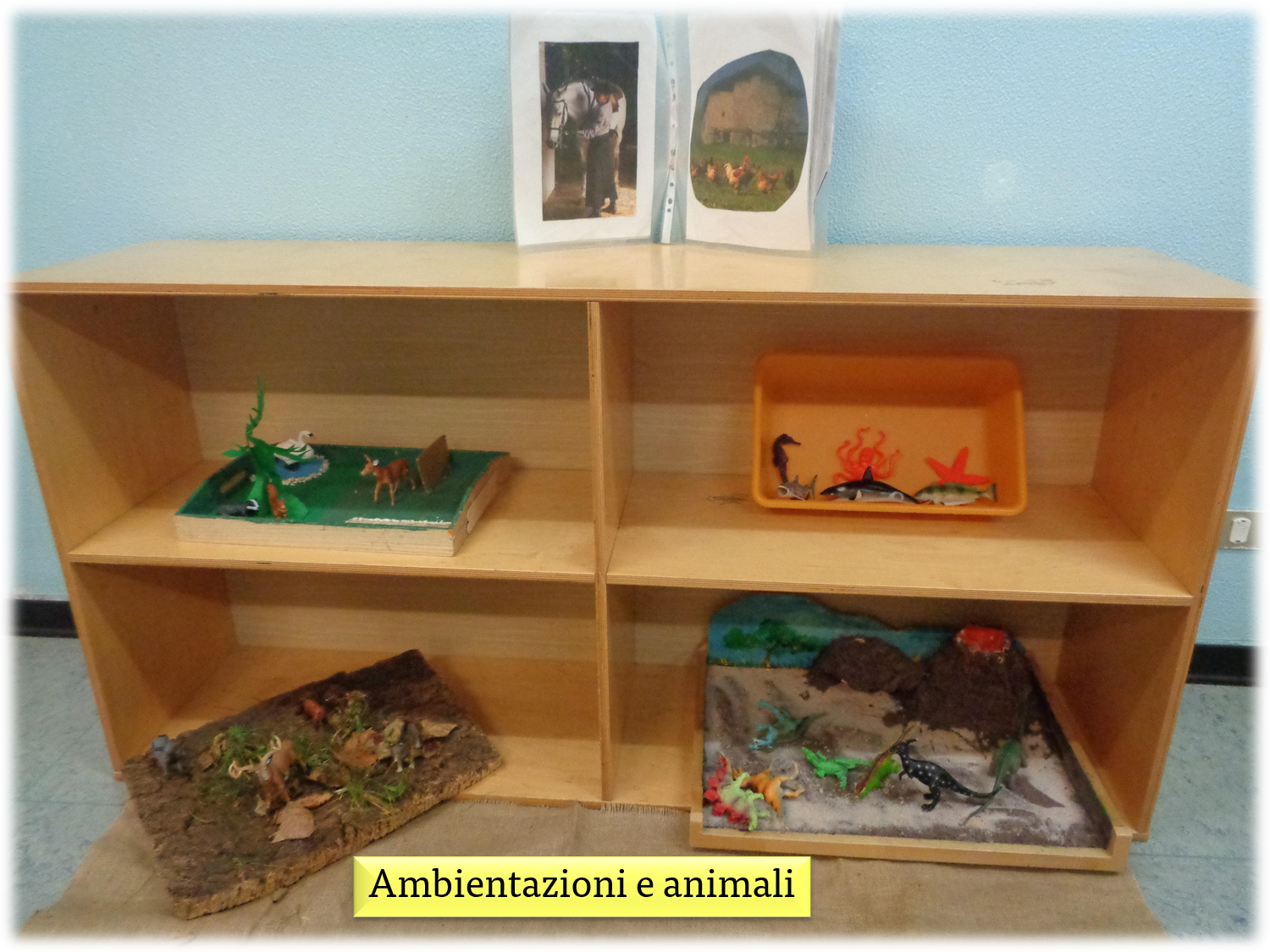 immagine di galleria