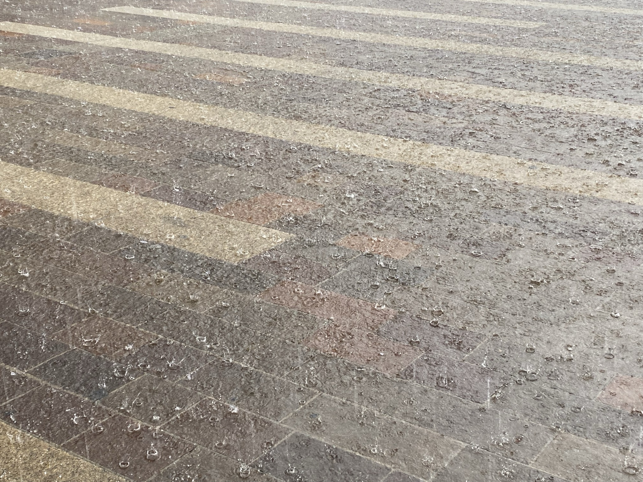 immagine di galleria 'Festa dello Sport, Volontariato e Salute 2021'