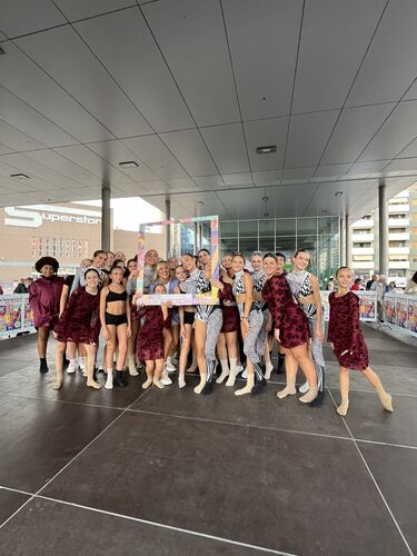 immagine di galleria 'Festa dello Sport, del Volontariato e della Salute 2026'