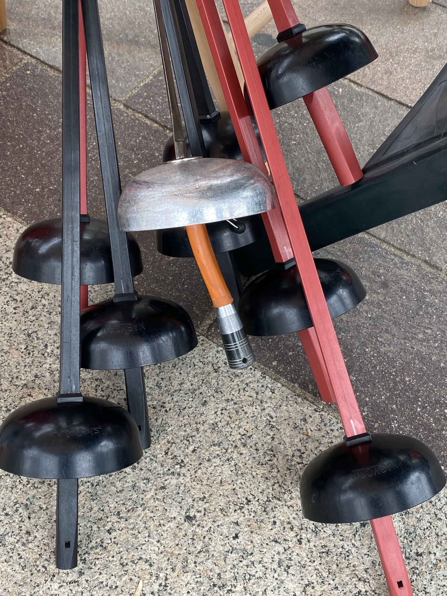 immagine di galleria