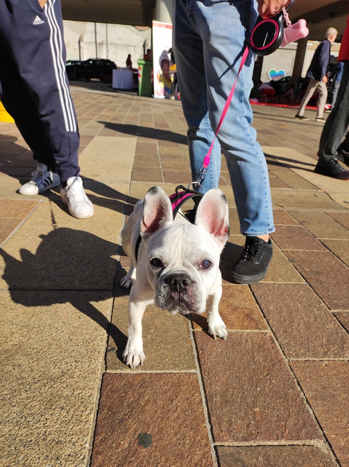 immagine di galleria