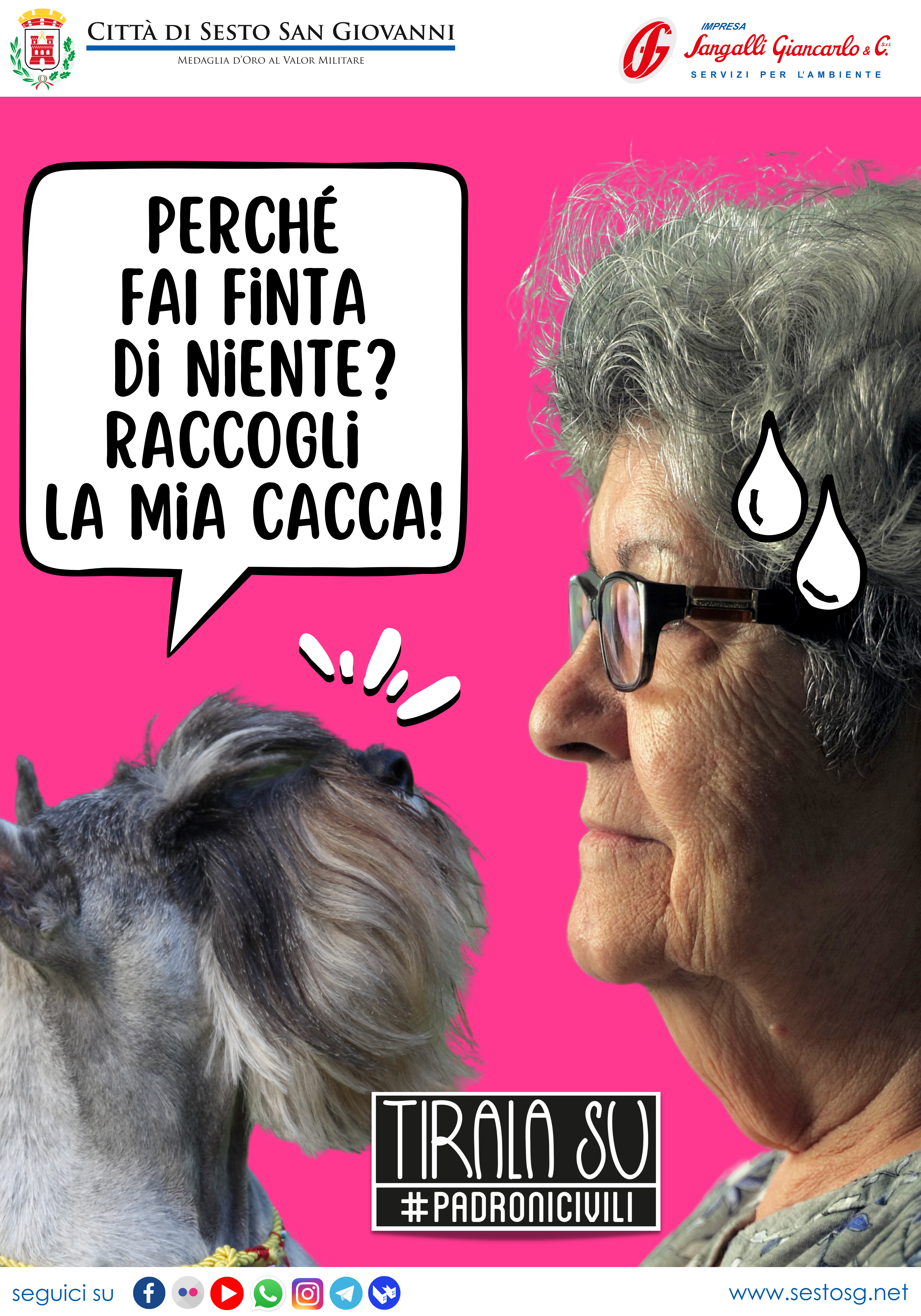 immagine di galleria