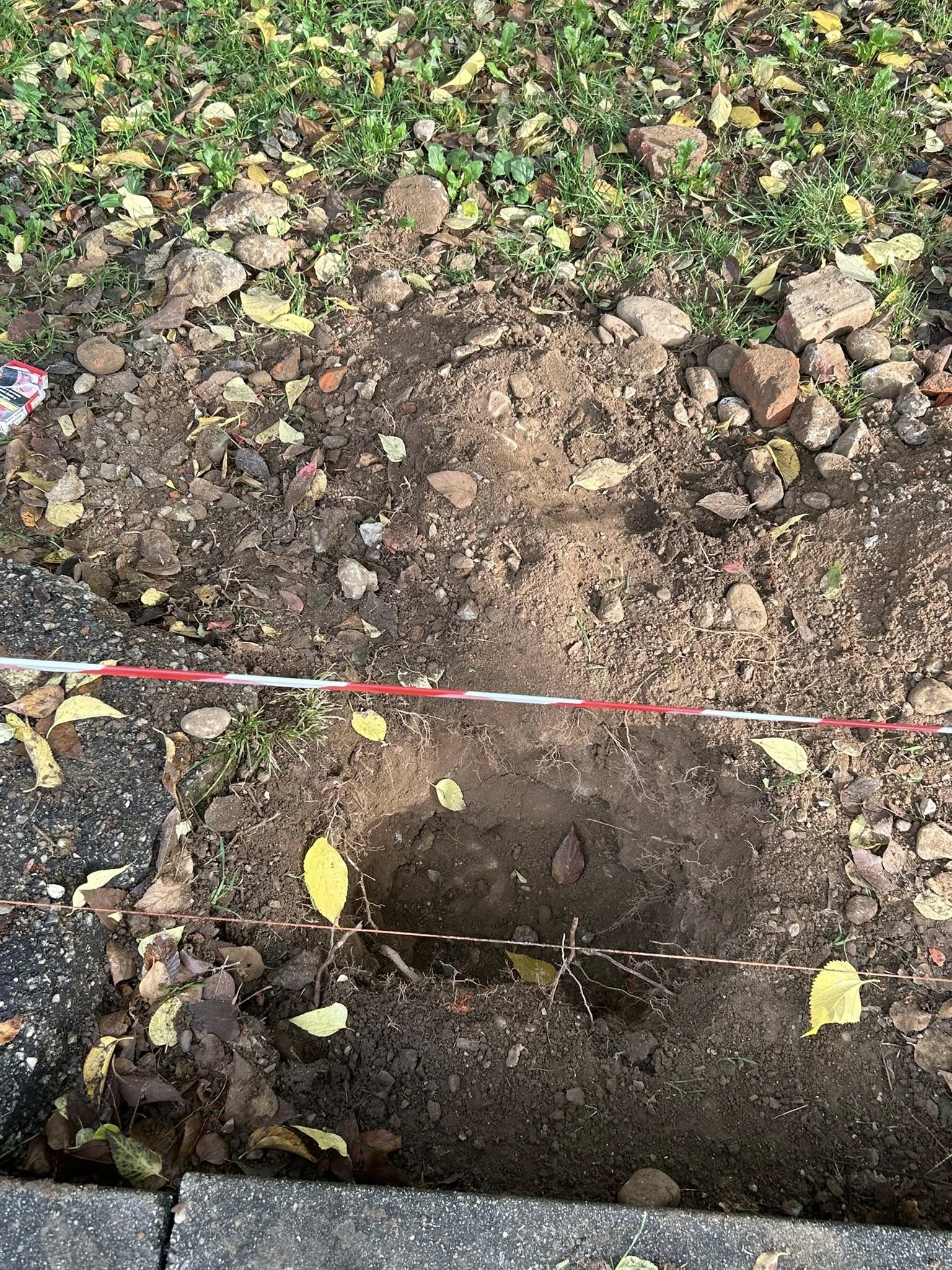 immagine di galleria 'Riqualificazione del giardino Bazzega-Corridoni Padovani'