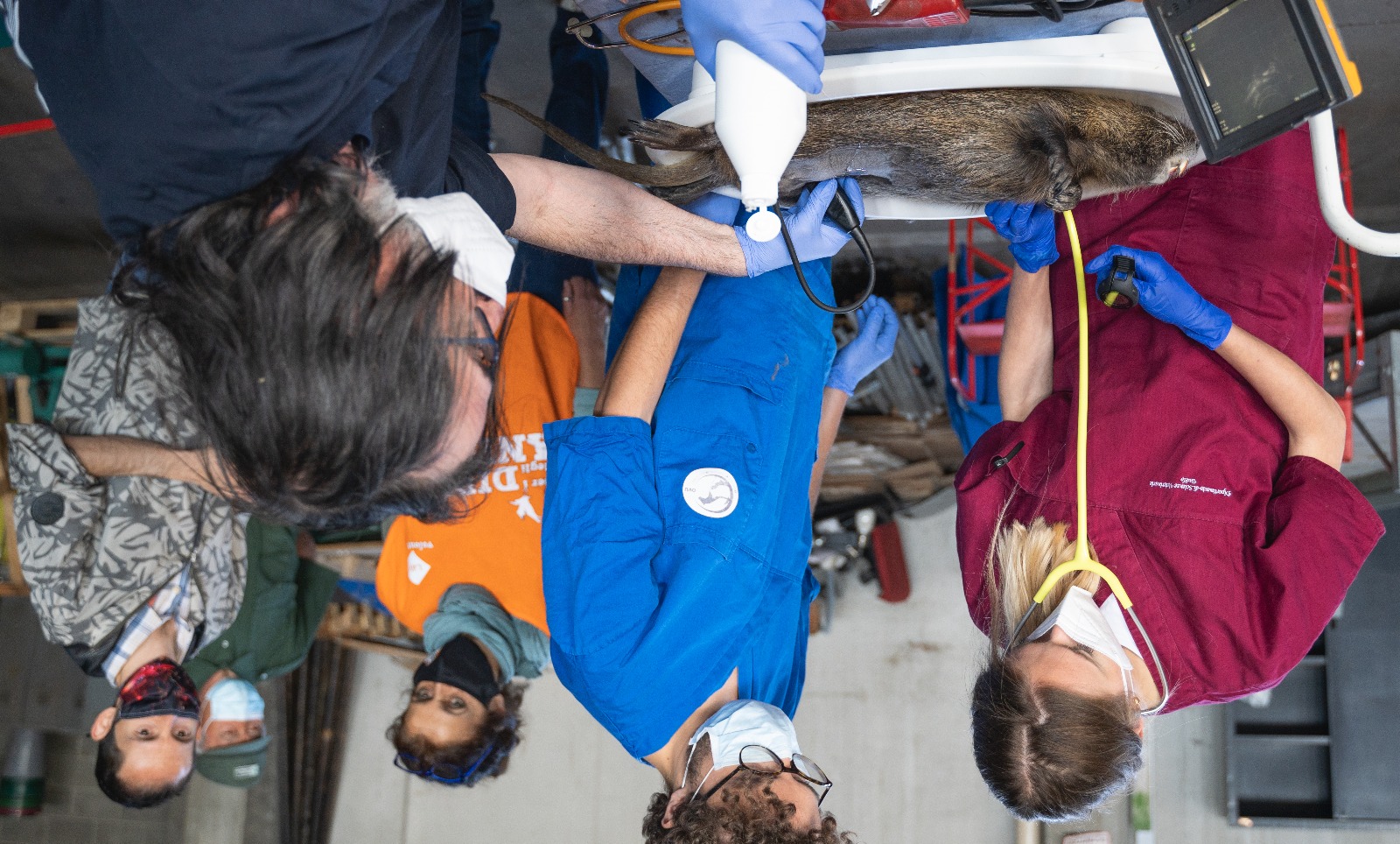 immagine di galleria