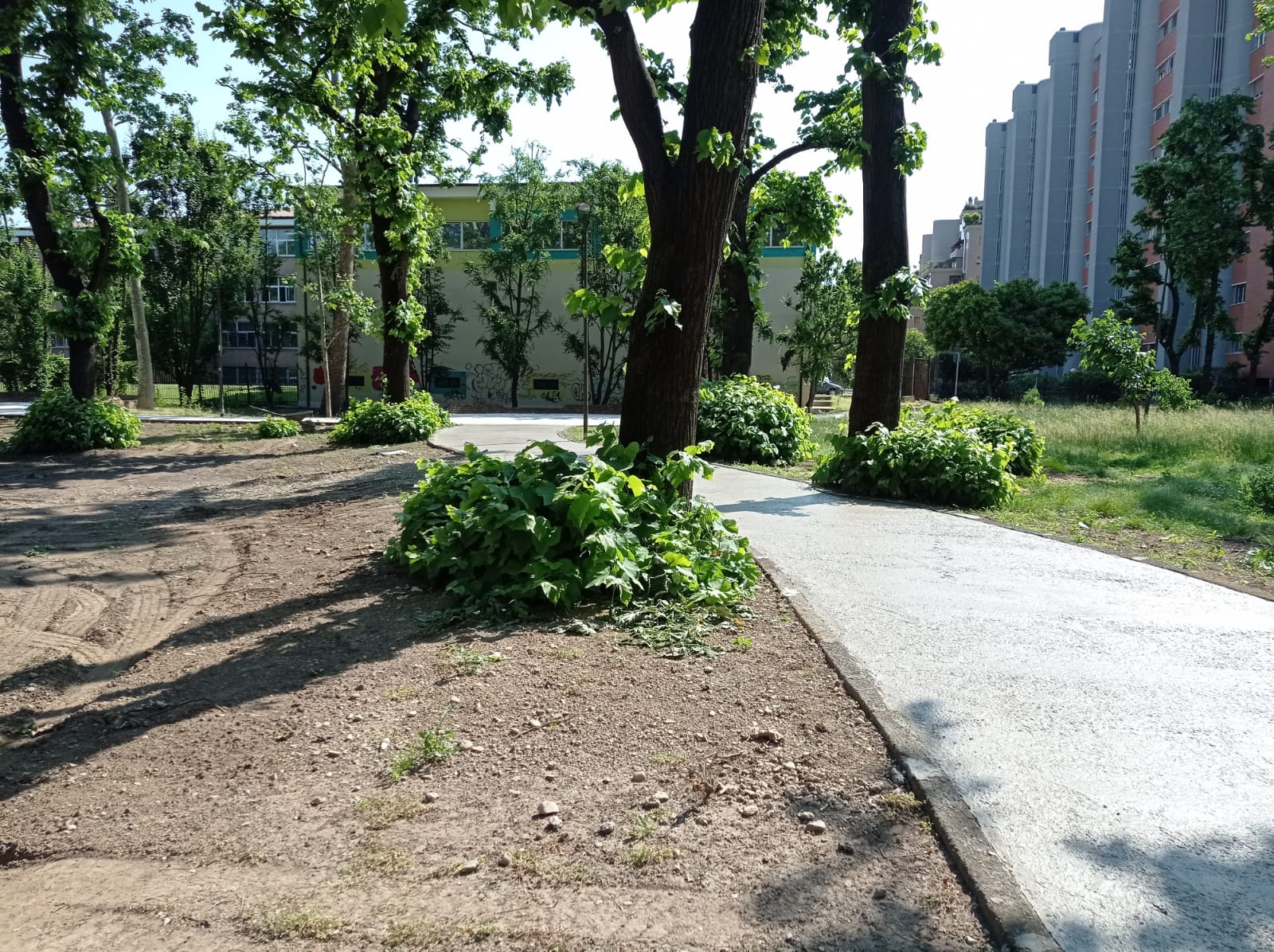 immagine di galleria