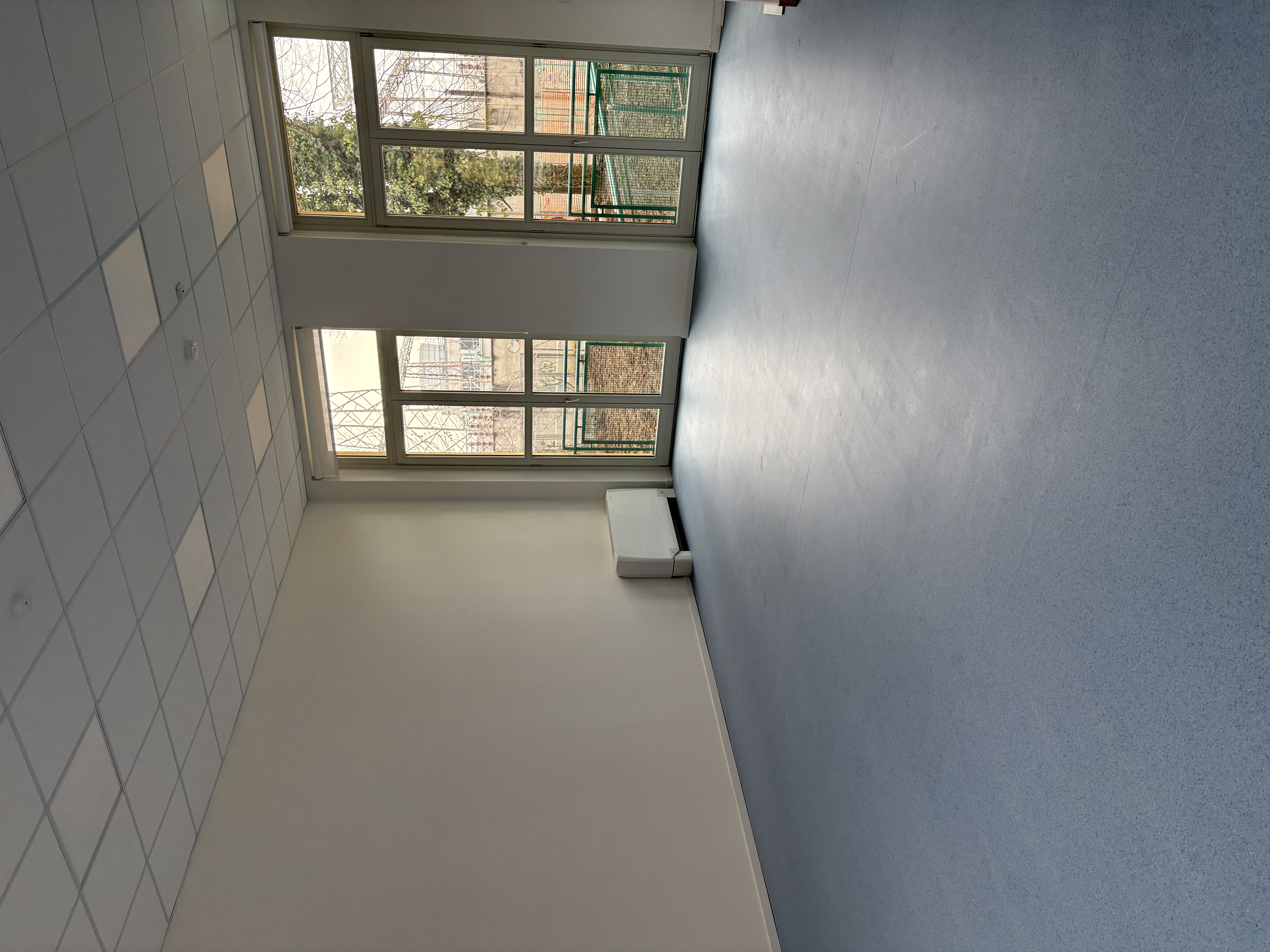 immagine di galleria