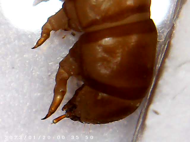 immagine di galleria