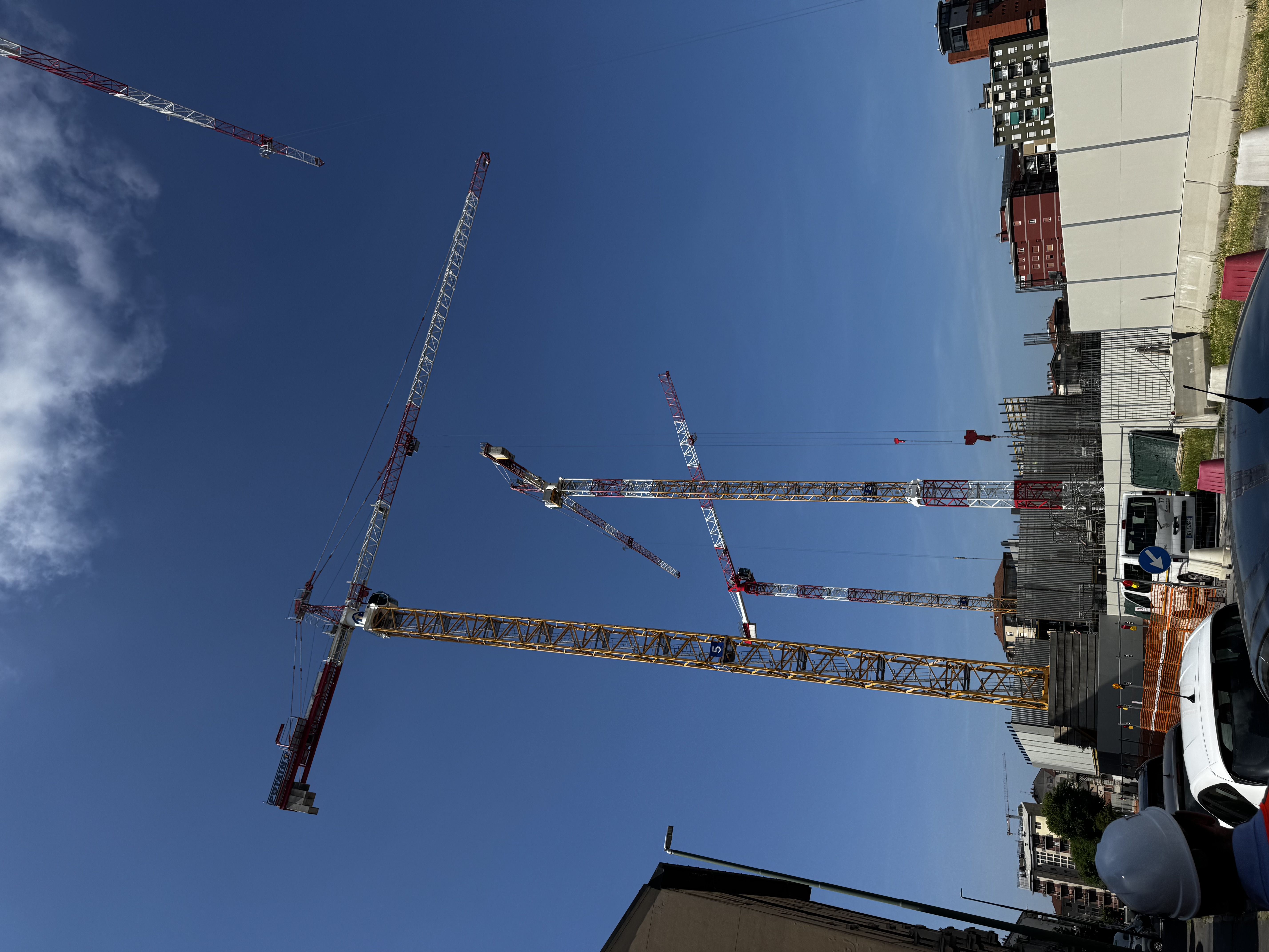 immagine di galleria