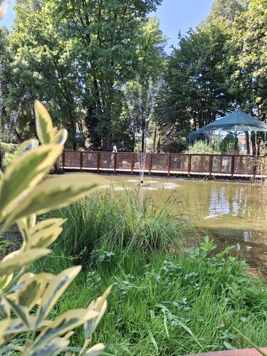 immagine di galleria 'Riqualificazione del giardino di villa Mylius - seconda parte'