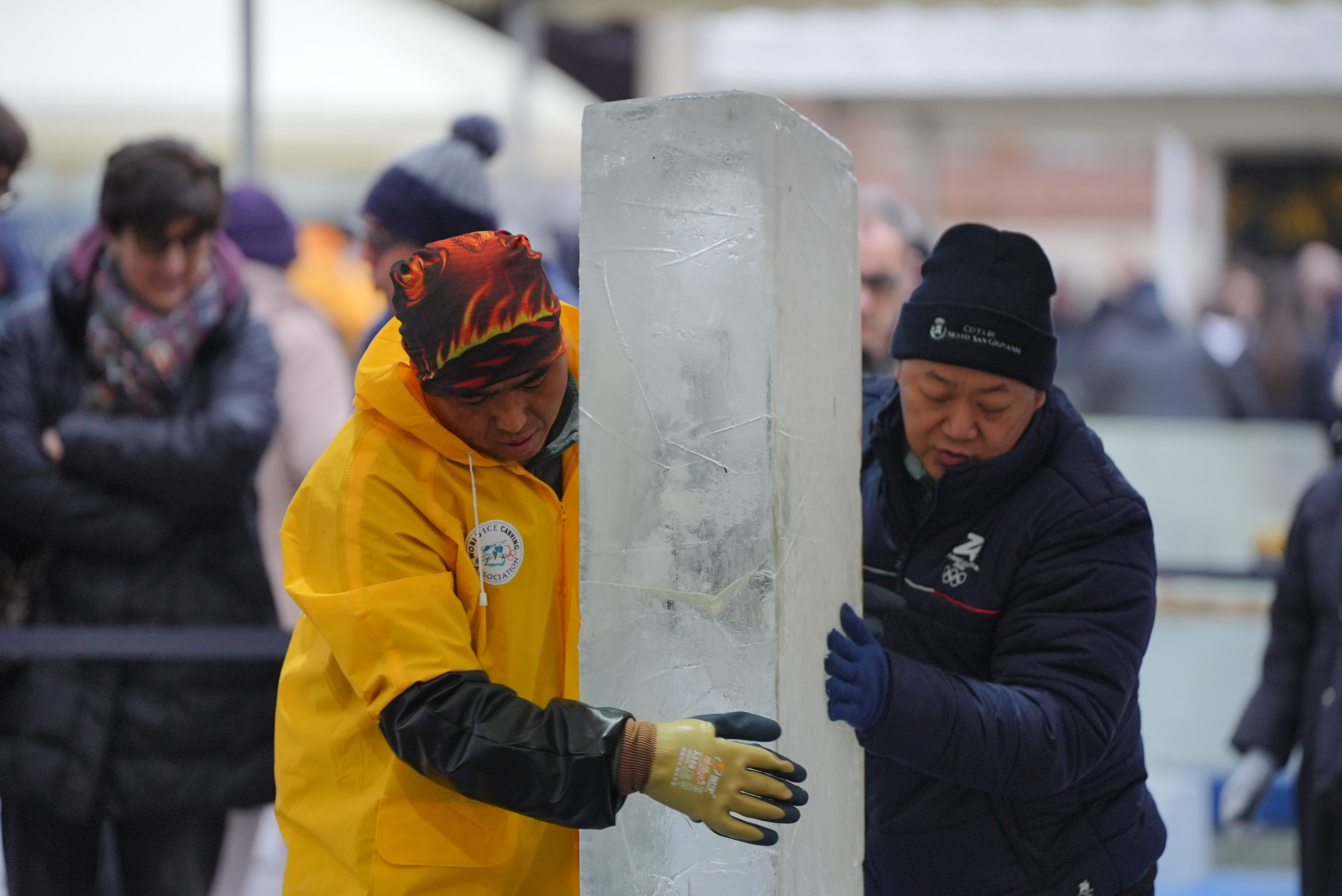 immagine di galleria