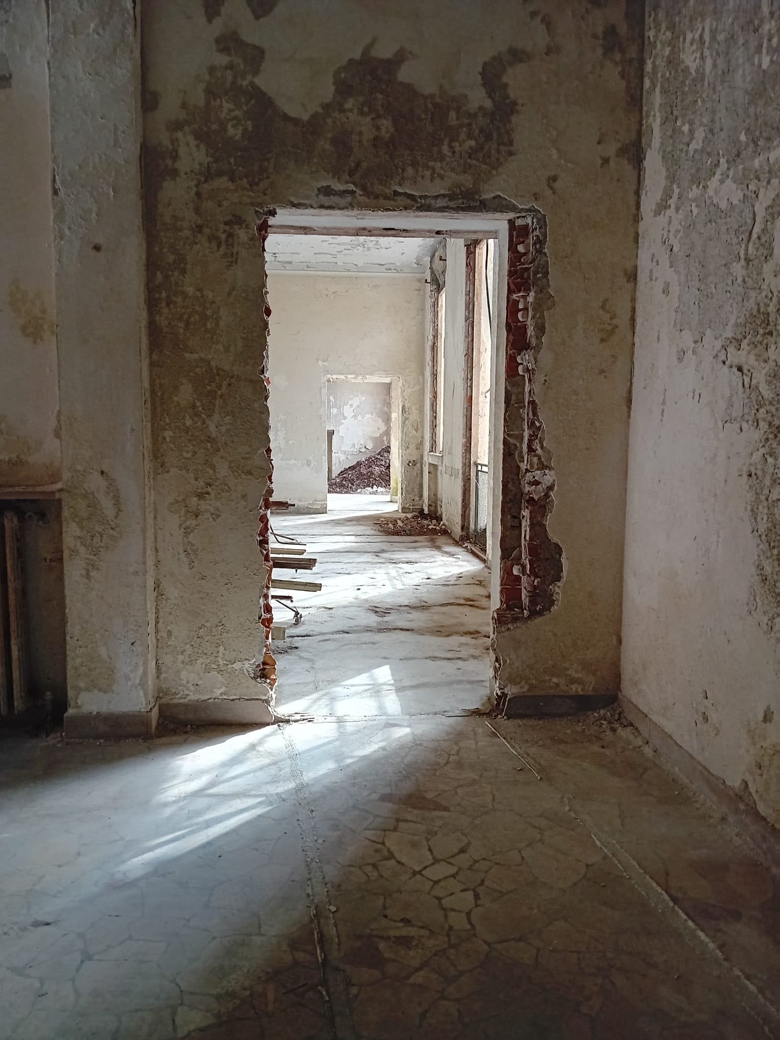 immagine di galleria