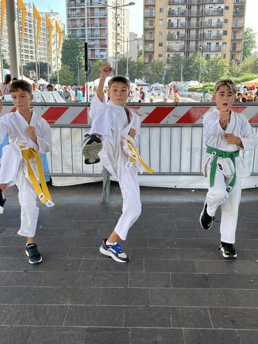 immagine di galleria 'Festa dello Sport, del Volontariato e della Salute 2026'