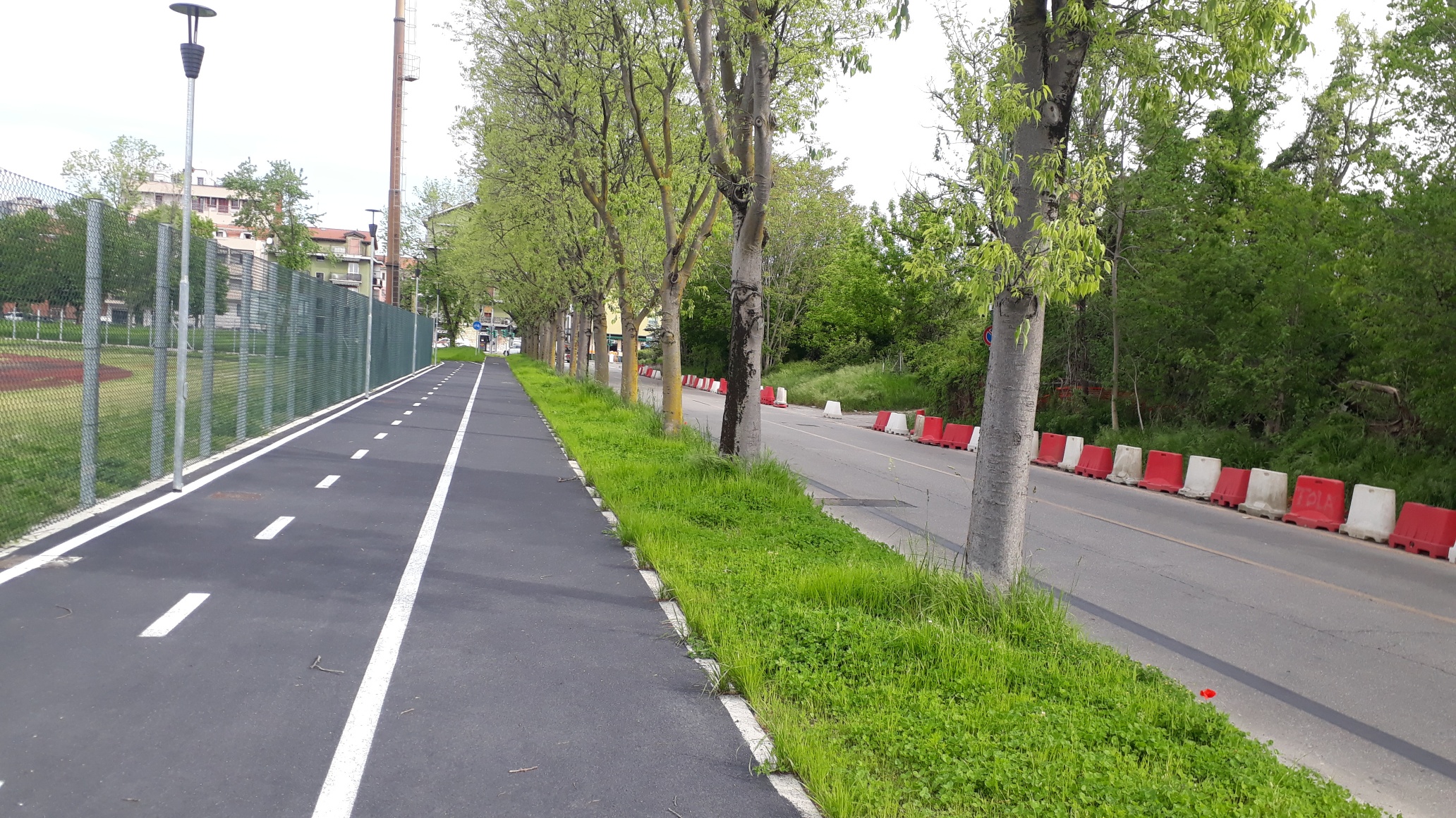 immagine di galleria 'Le reti ciclabili in Città'