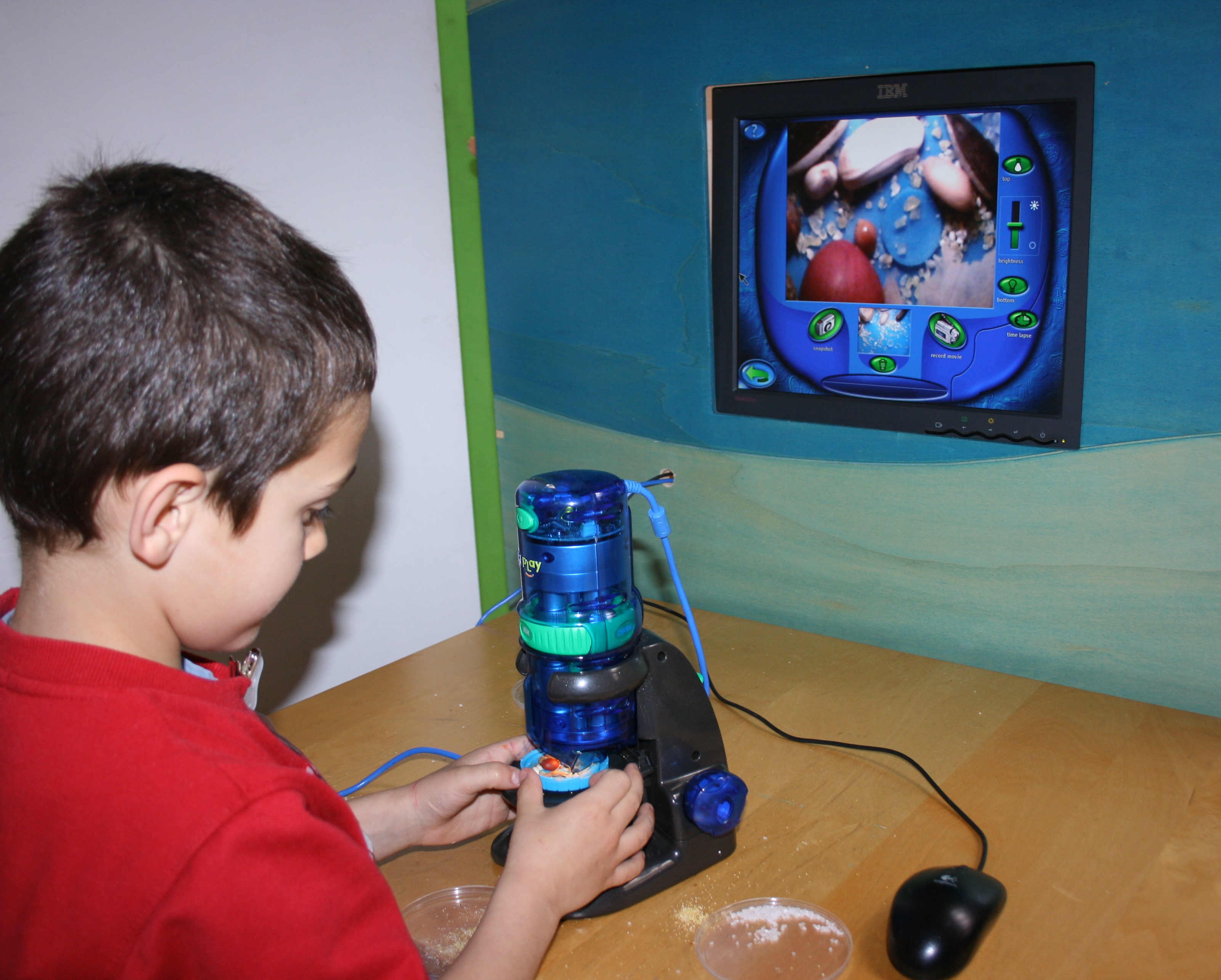 immagine di galleria