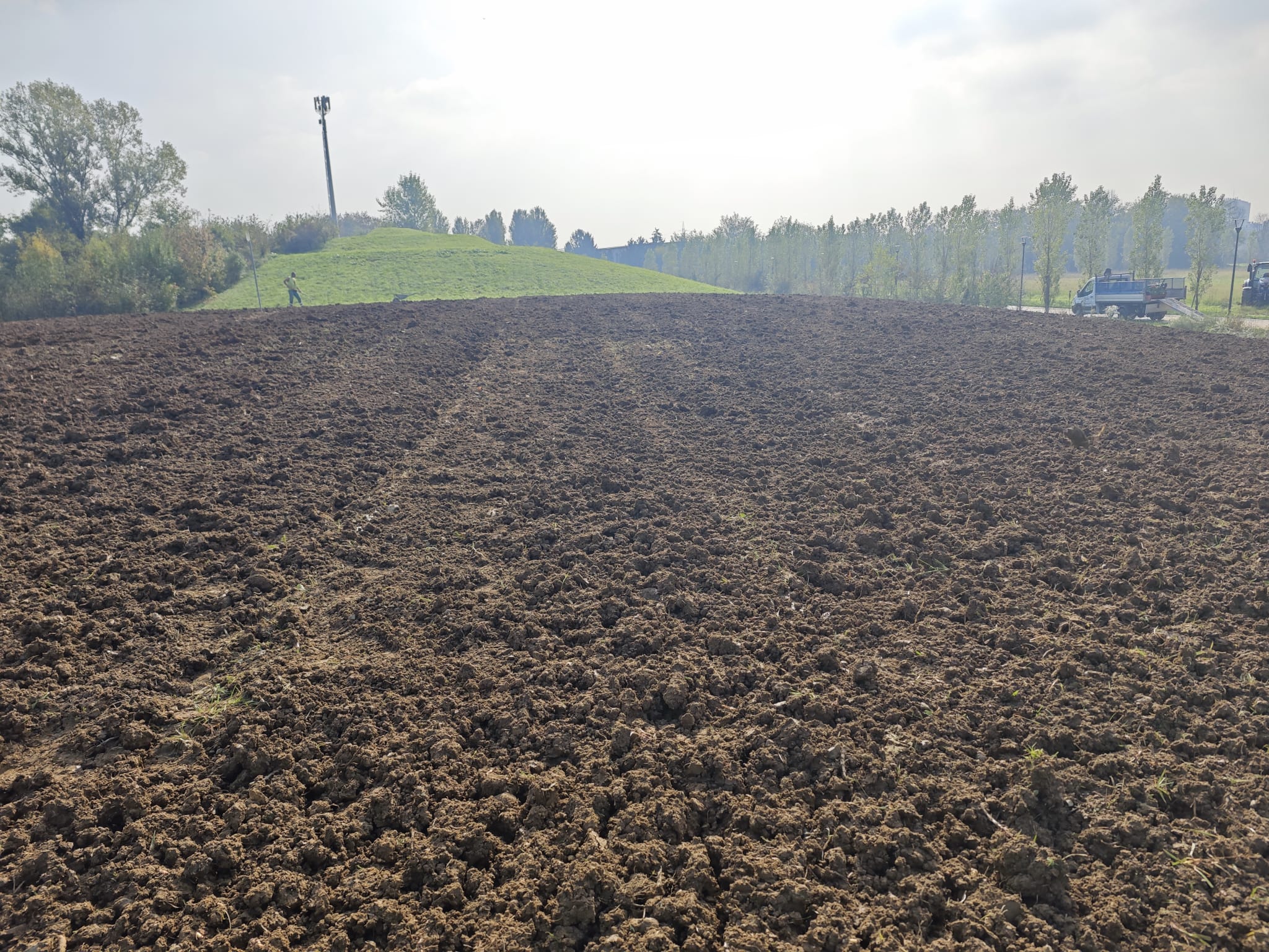 immagine di galleria 'Prato fiorito alla Bergamella'