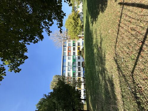 immagine di galleria 'La riqualificazione della scuola Marzabotto'