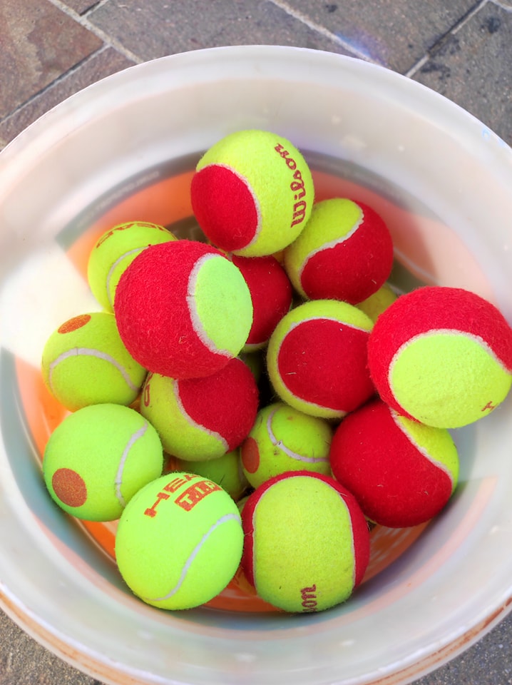 immagine di galleria 'Festa dello Sport, del Volontariato e della Salute 2022'