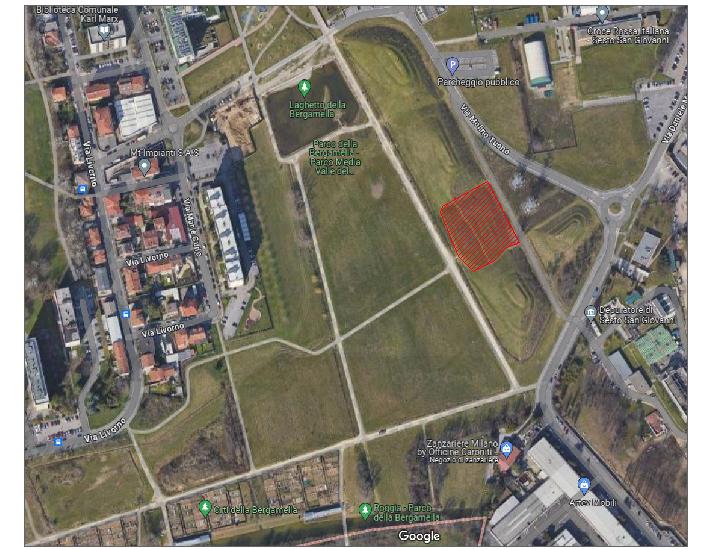 immagine di galleria 'Prato fiorito alla Bergamella'