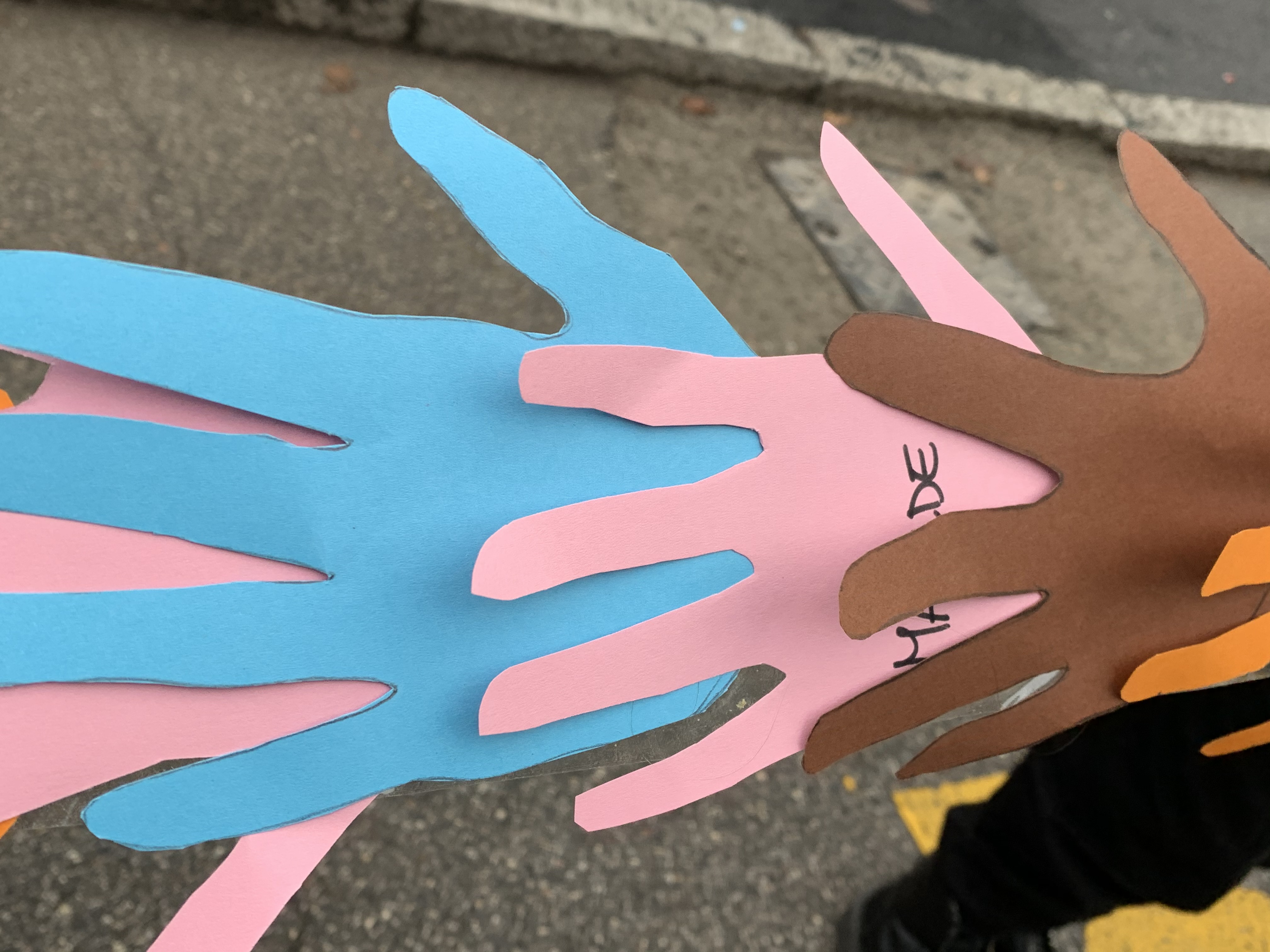 immagine di galleria