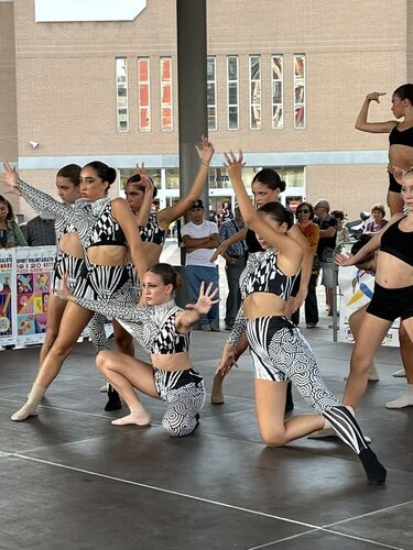 immagine di galleria 'Festa dello Sport, del Volontariato e della Salute 2026'