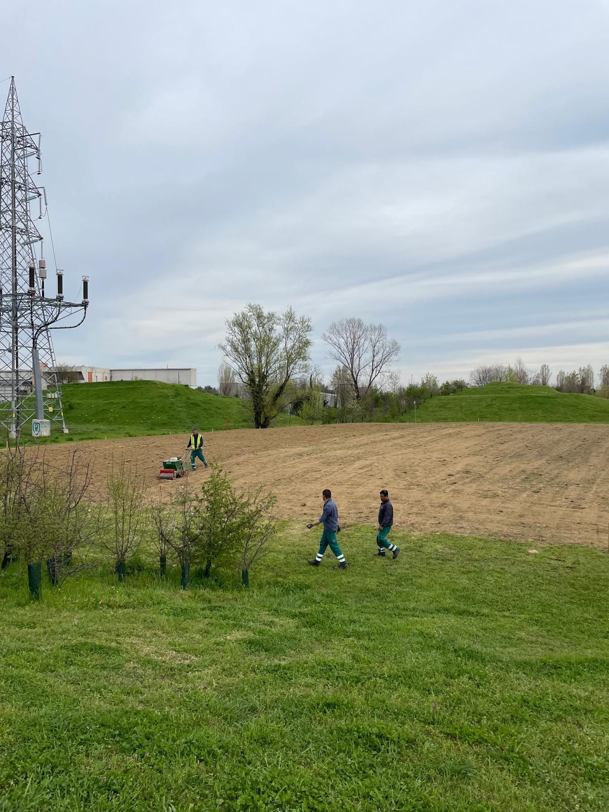 immagine di galleria