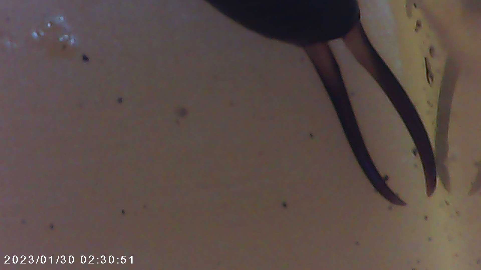 immagine di galleria