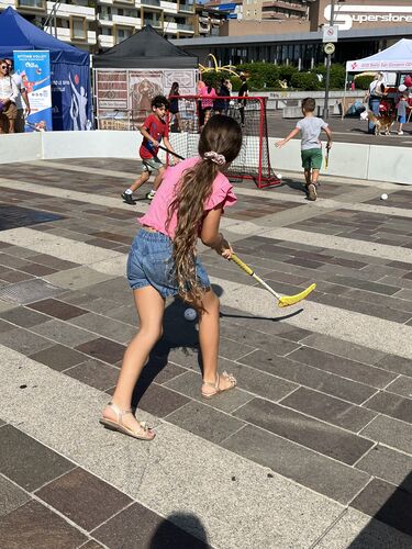 immagine di galleria 'Festa dello Sport, del Volontariato e della Salute 2026'