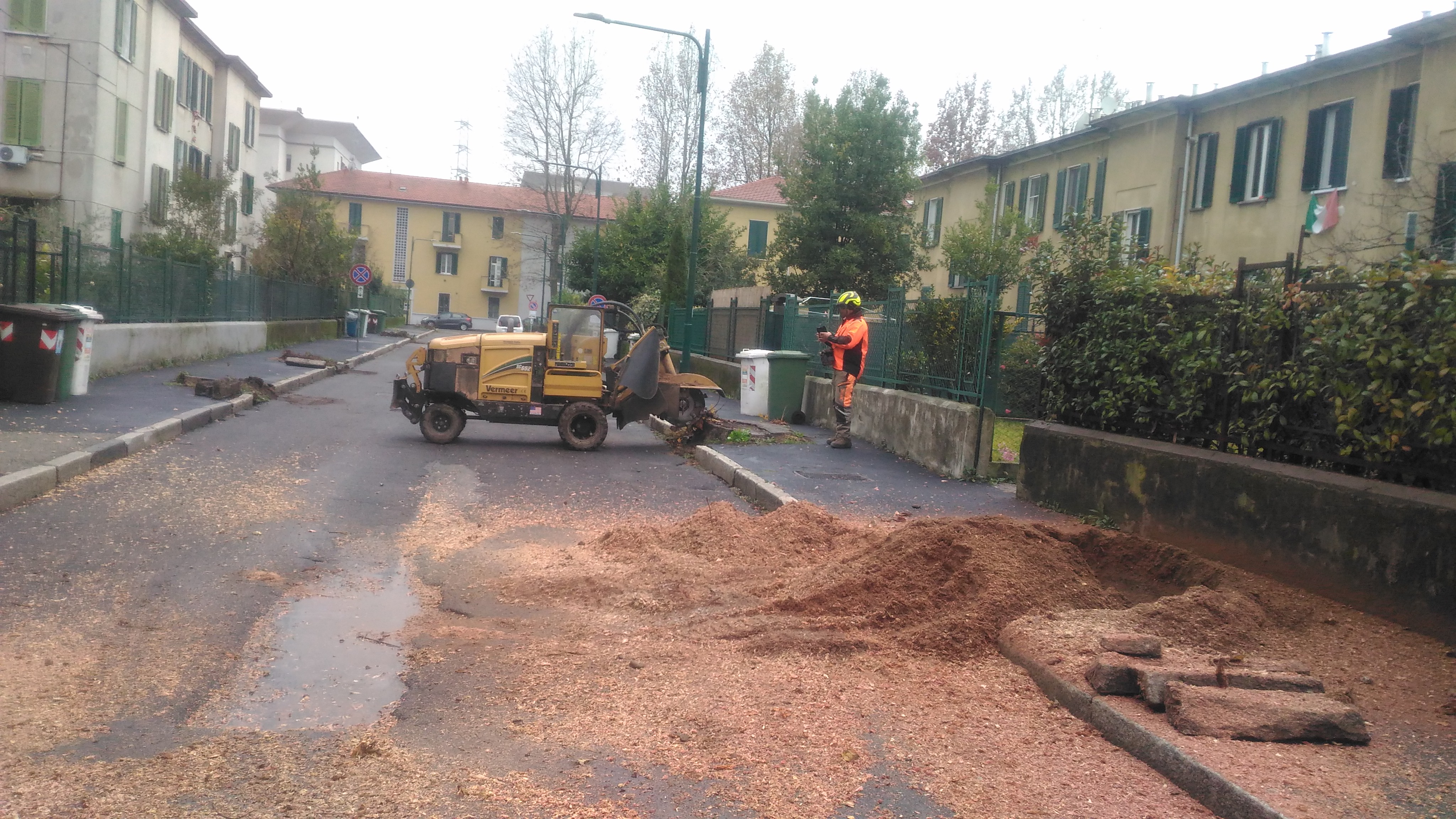 immagine di galleria