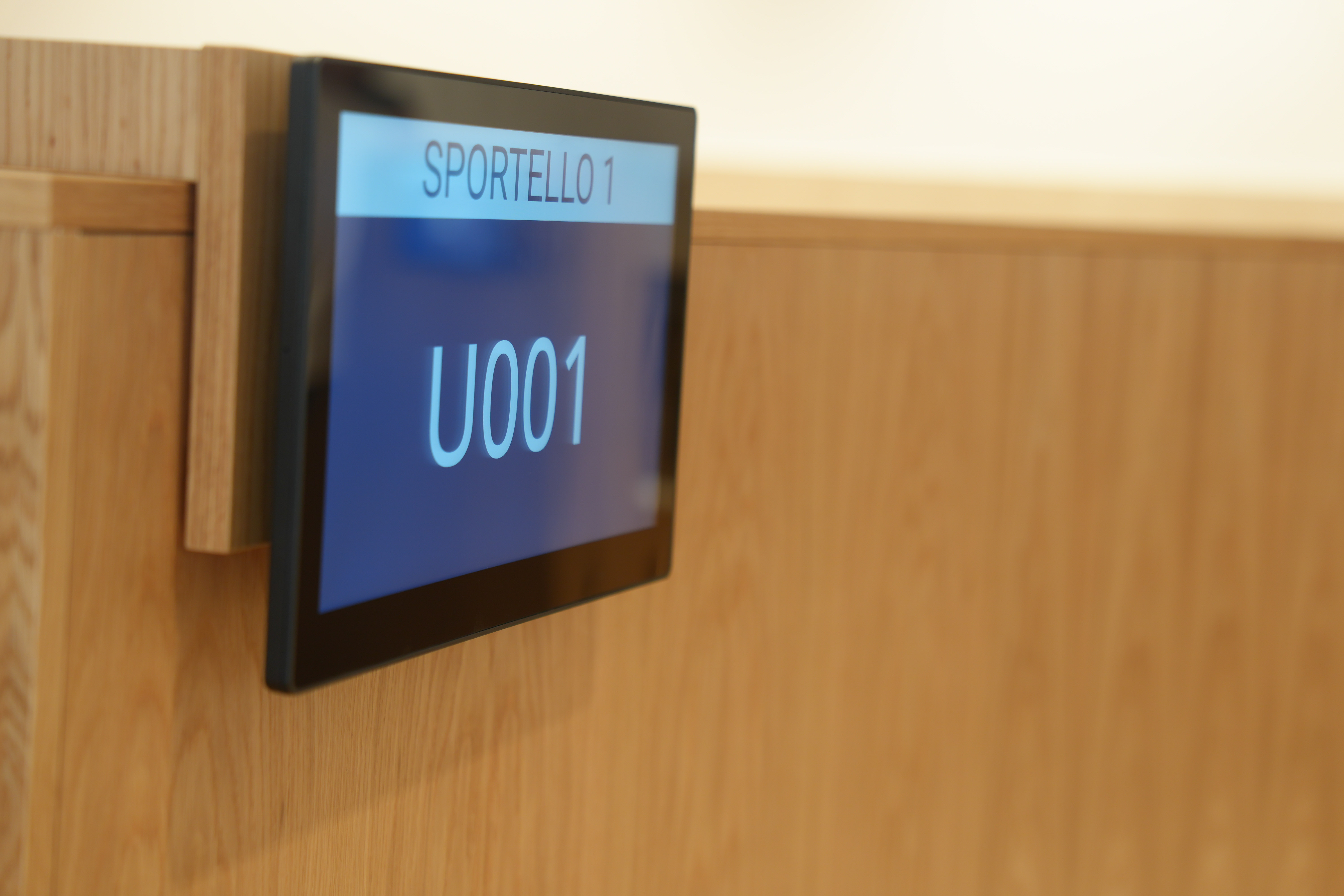 immagine di galleria