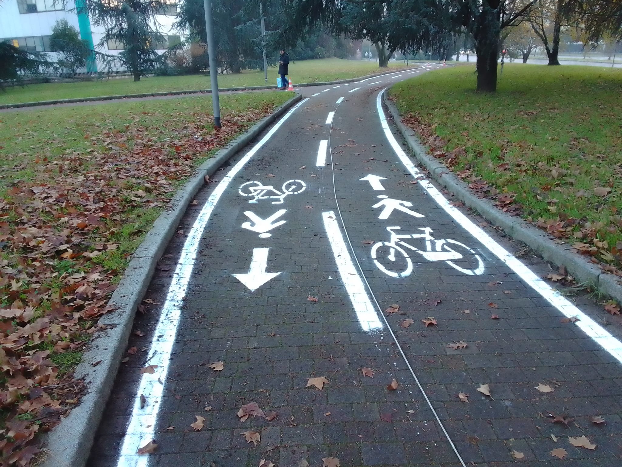 immagine di galleria 'Bicipolitana: la rete ciclabile in Città'