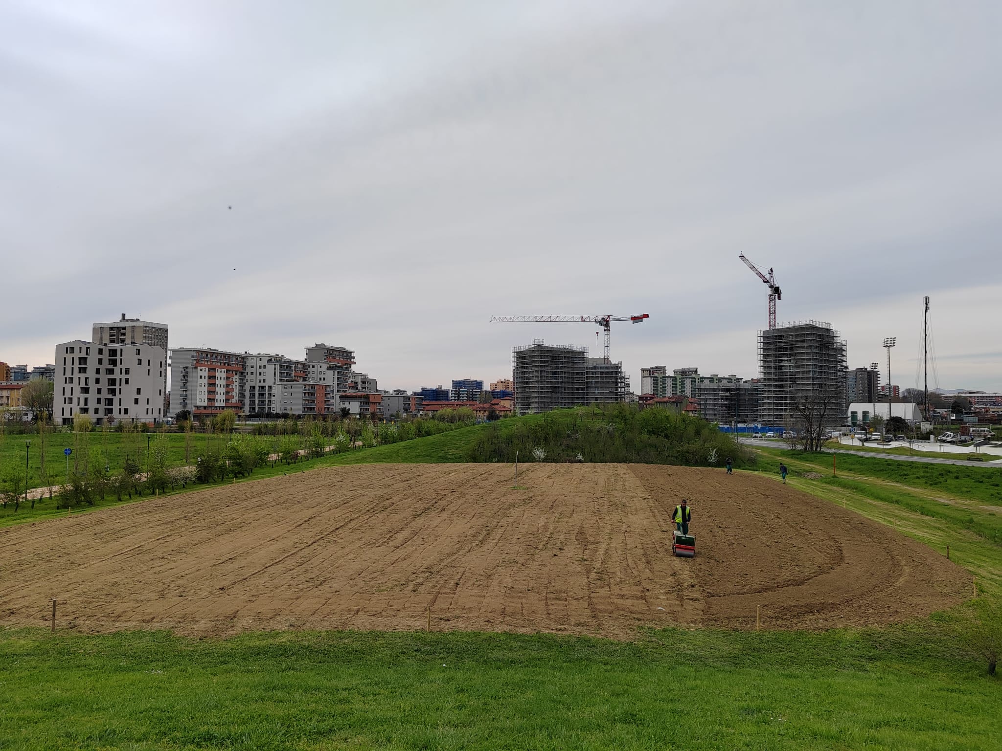 immagine di galleria 'Prato fiorito alla Bergamella'