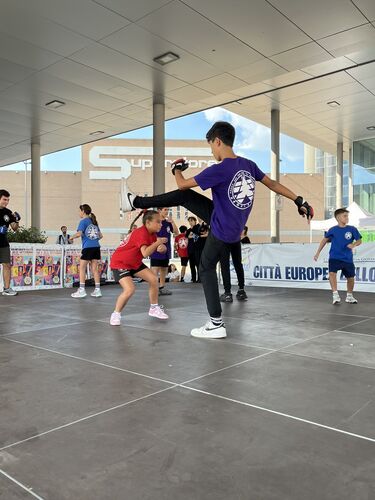immagine di galleria 'Festa dello Sport, del Volontariato e della Salute 2026'