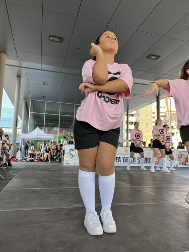 immagine di galleria 'Festa dello Sport, del Volontariato e della Salute 2026'