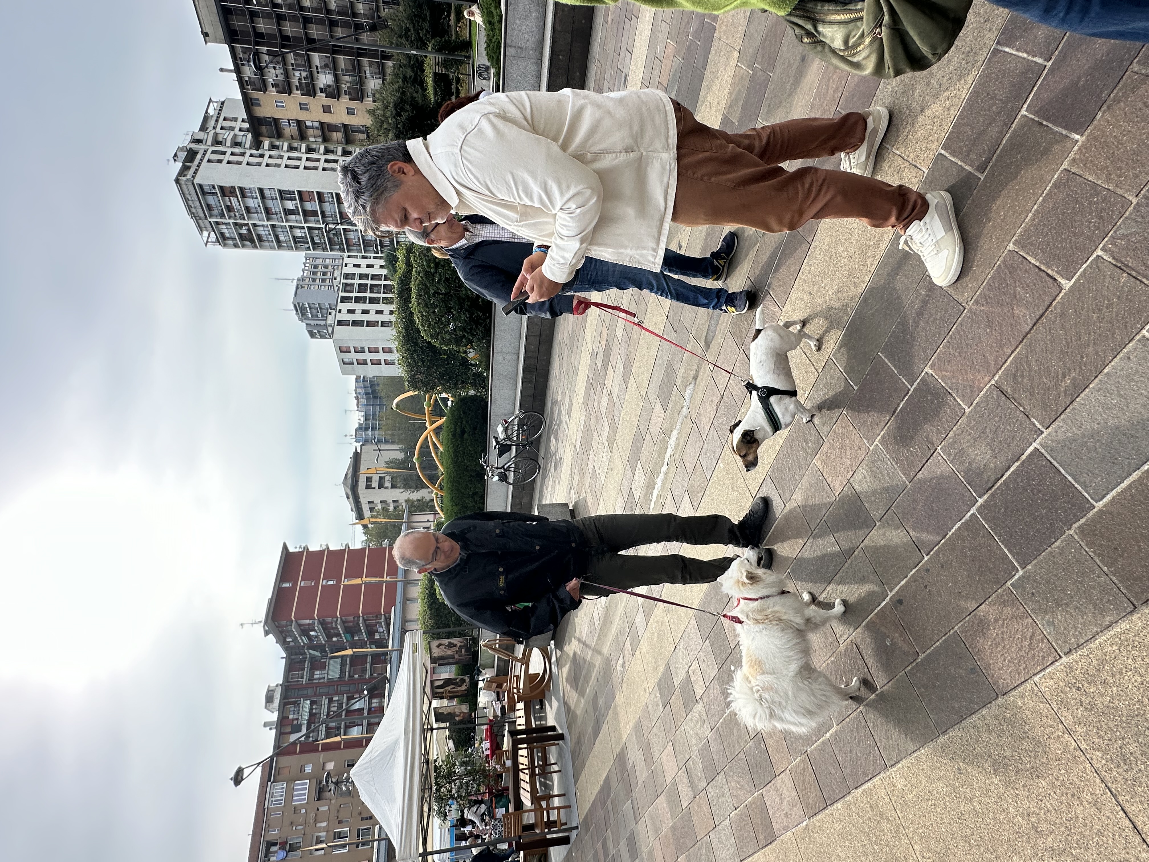 immagine di galleria