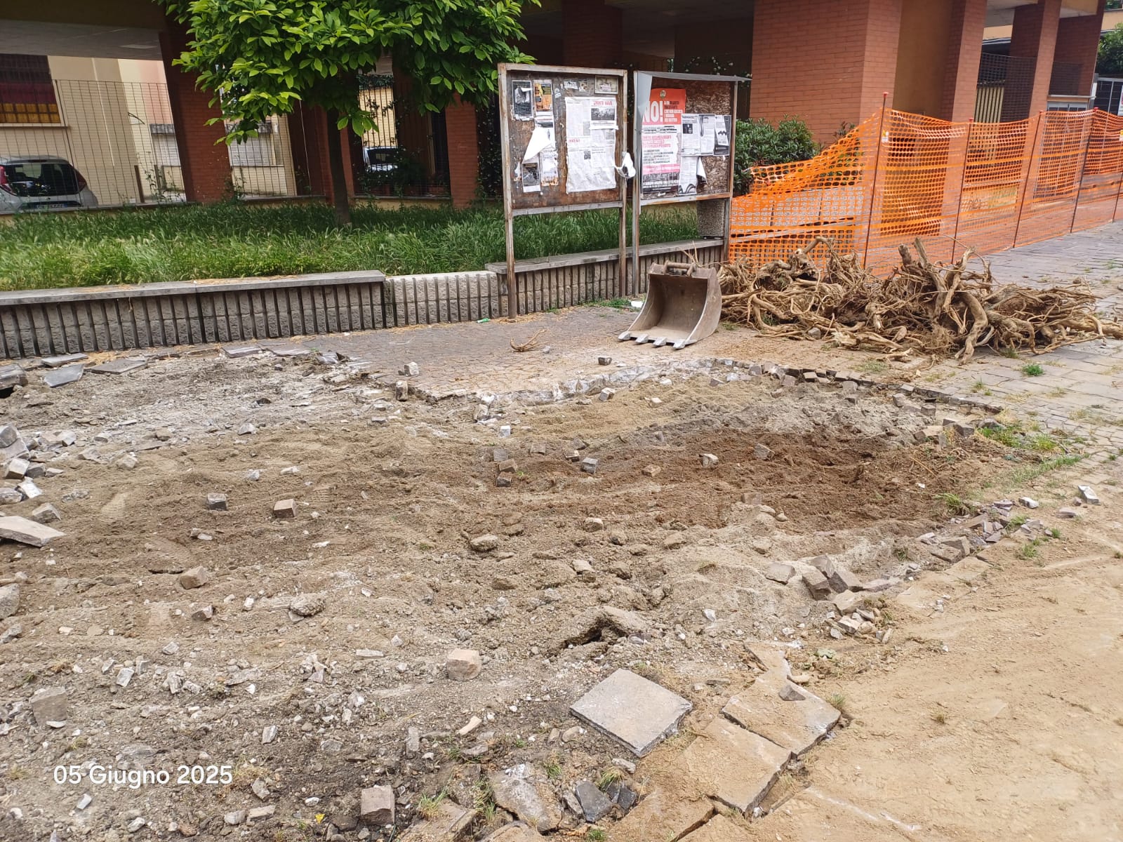 immagine di galleria