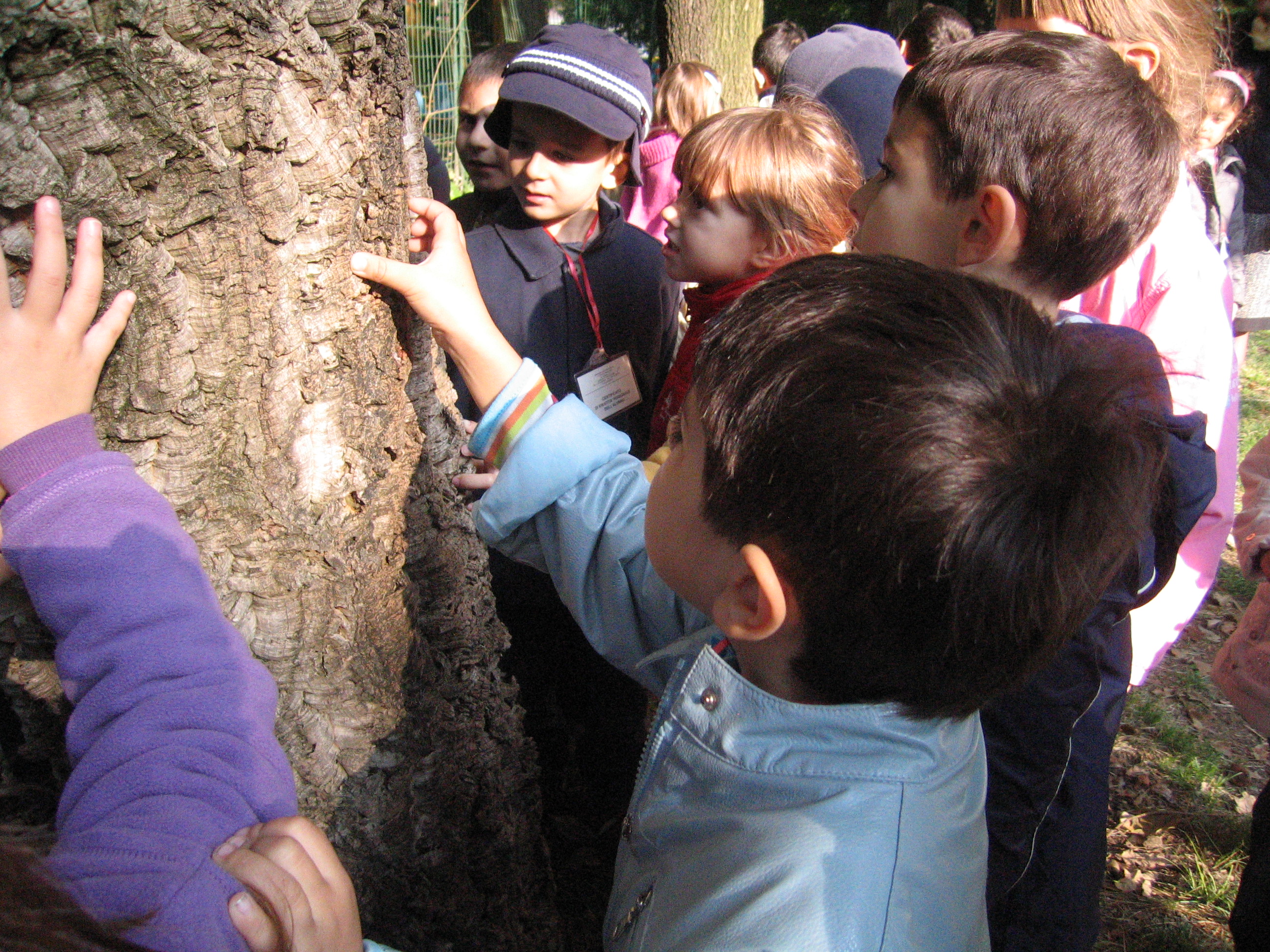 immagine di galleria