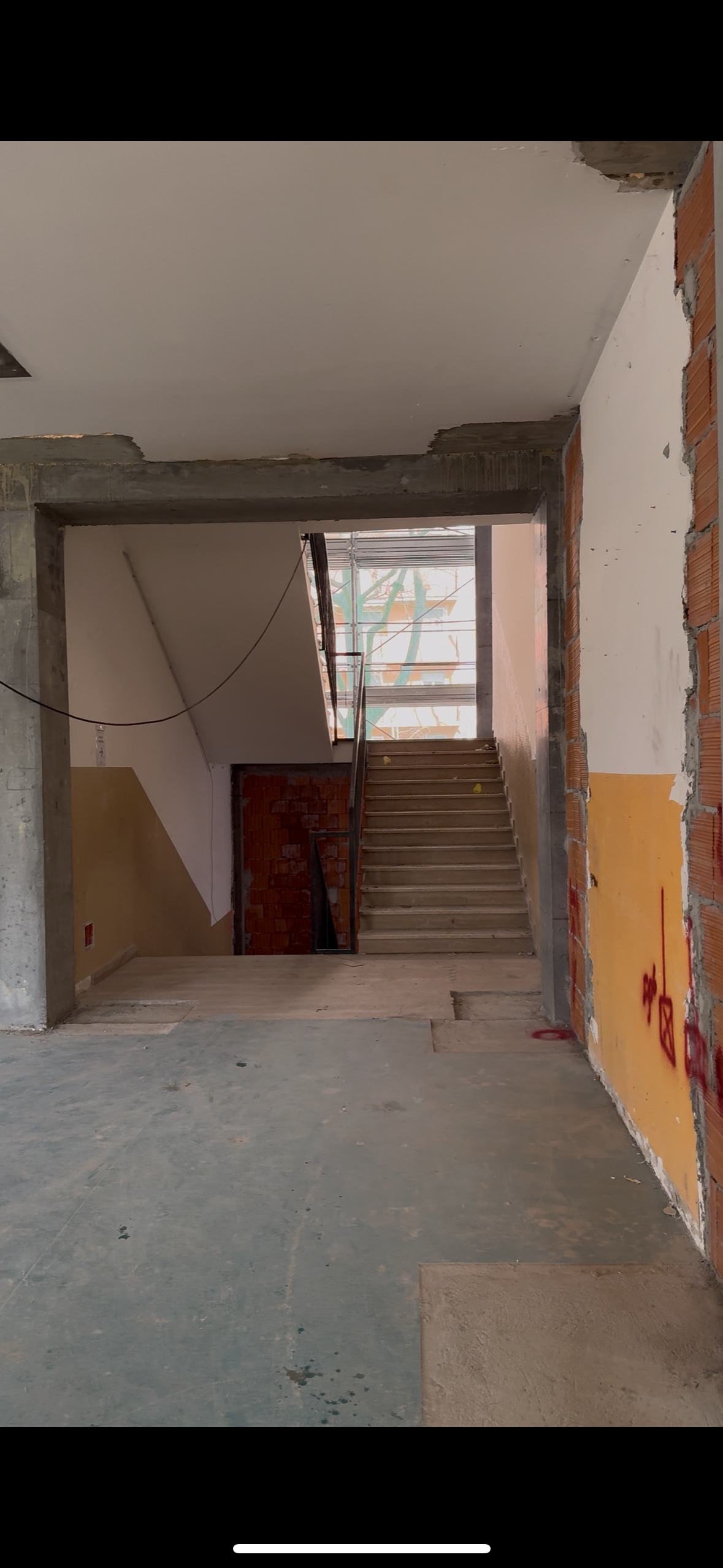 immagine di galleria