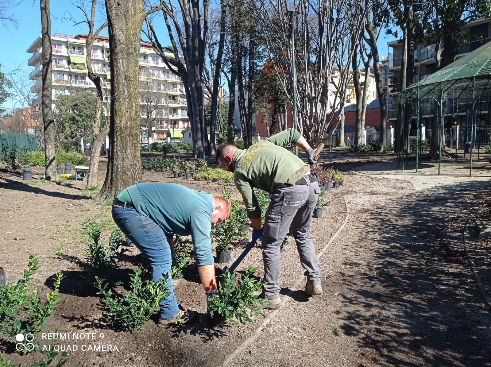 immagine di galleria 'Restyling del giardino di villa Mylius - prima parte'