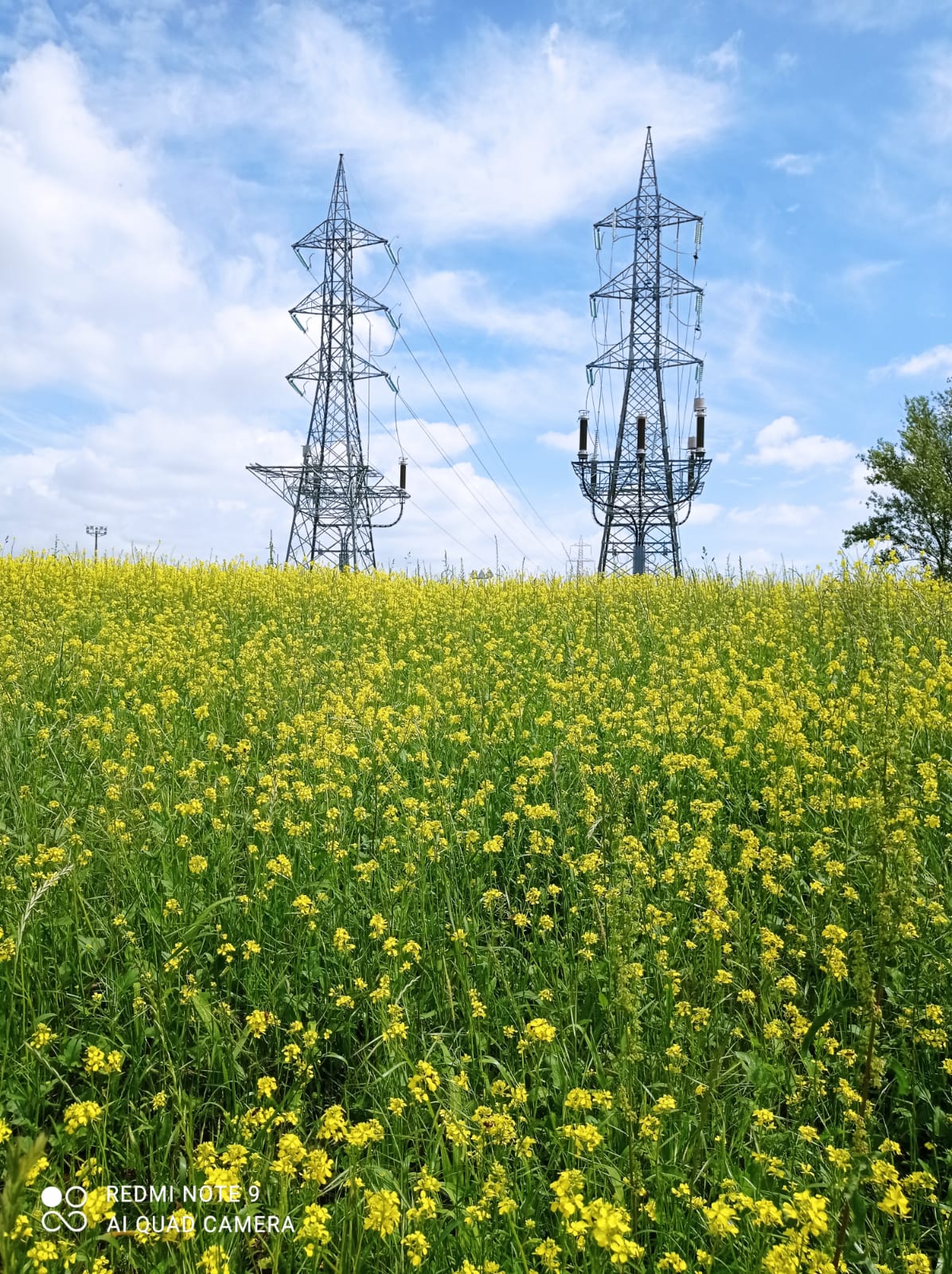 immagine di galleria