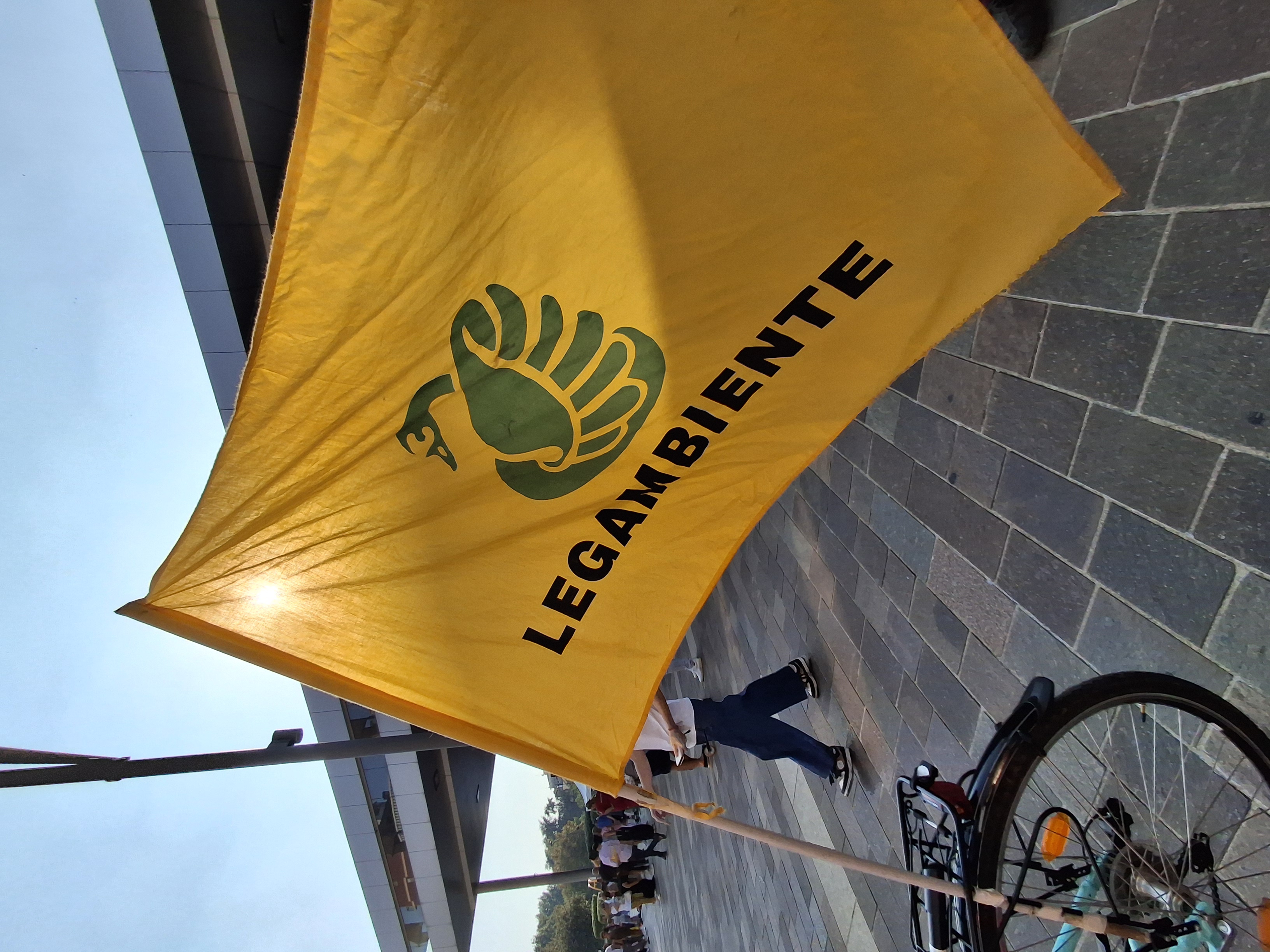 immagine di galleria