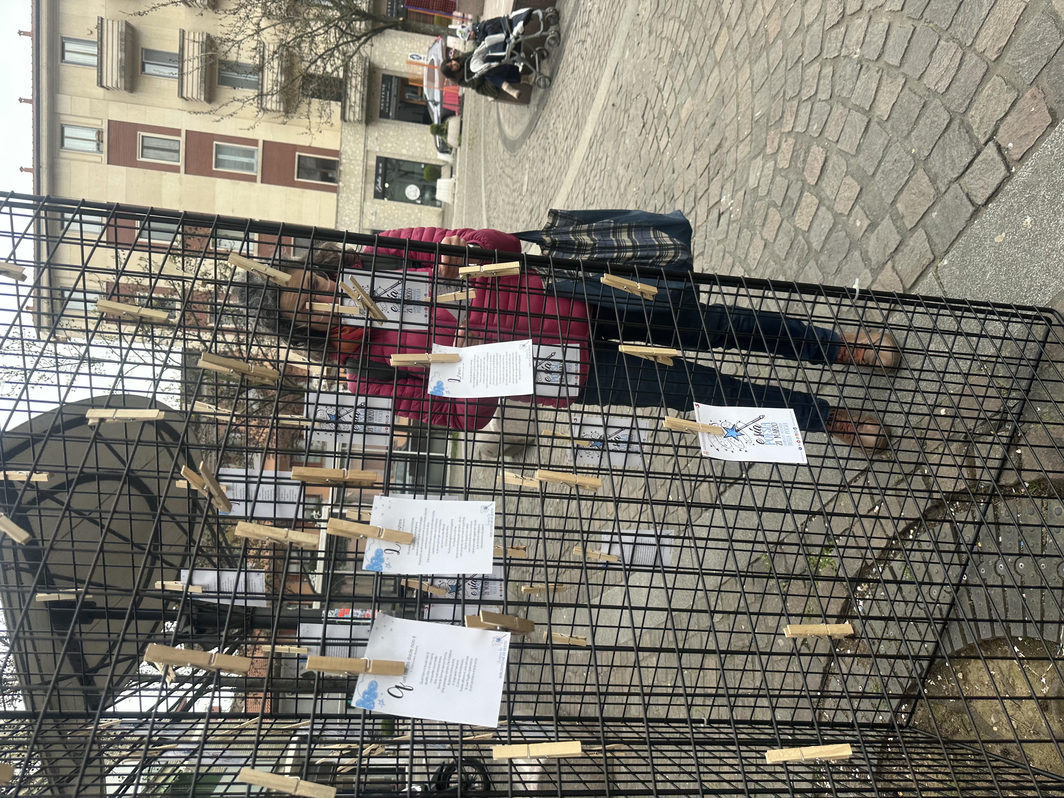 immagine di galleria