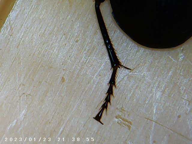 immagine di galleria